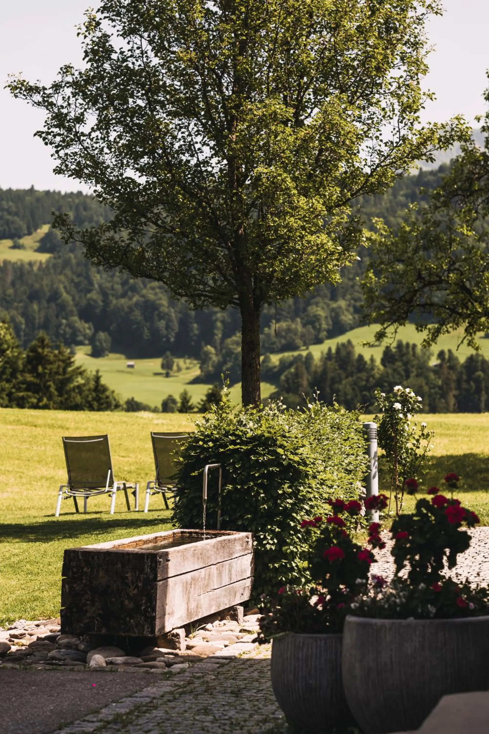 Natural landscape in Hotel & Wirtschaft Wälderhof