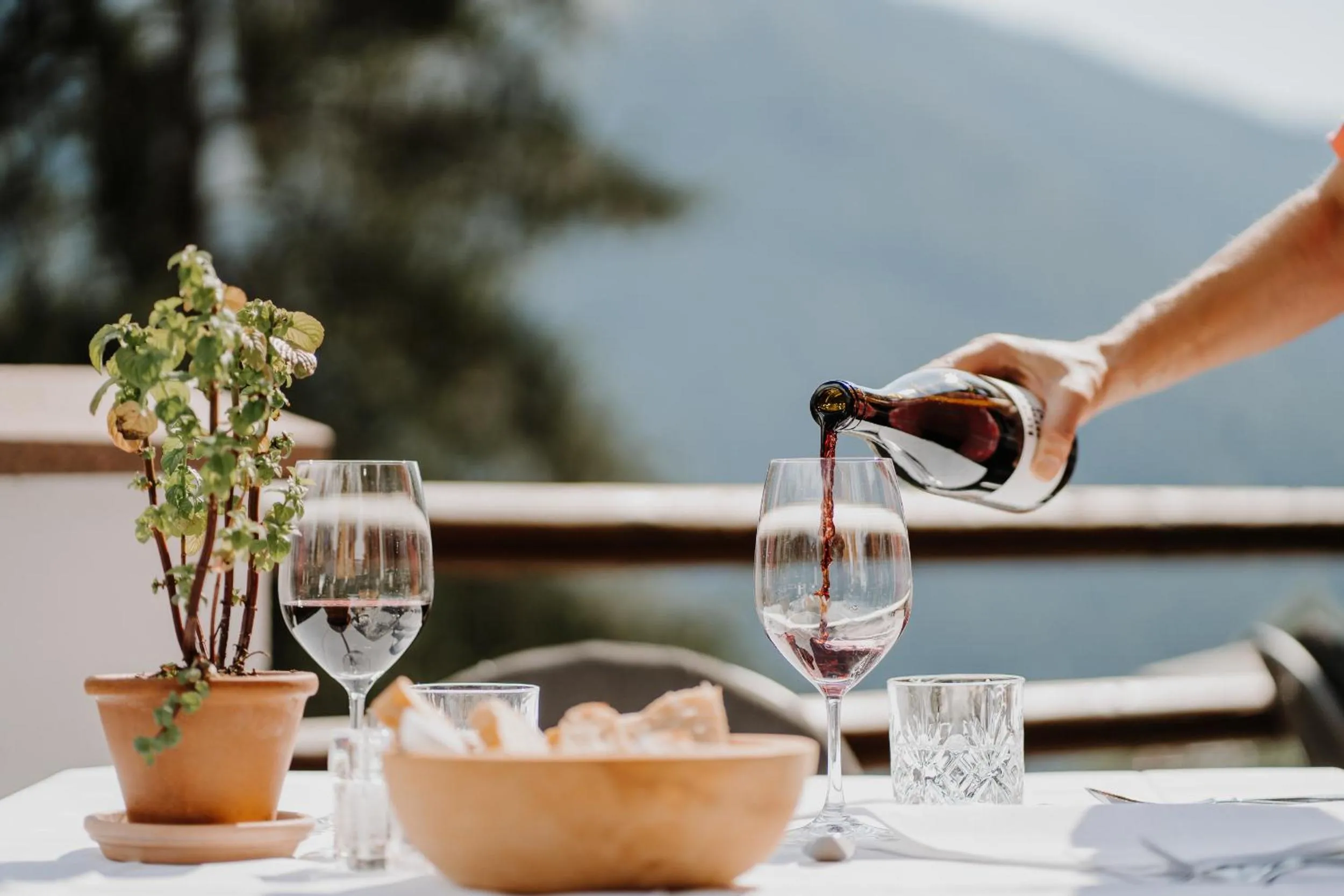 Restaurant/places to eat in Hotel Berghaus Rosengarten