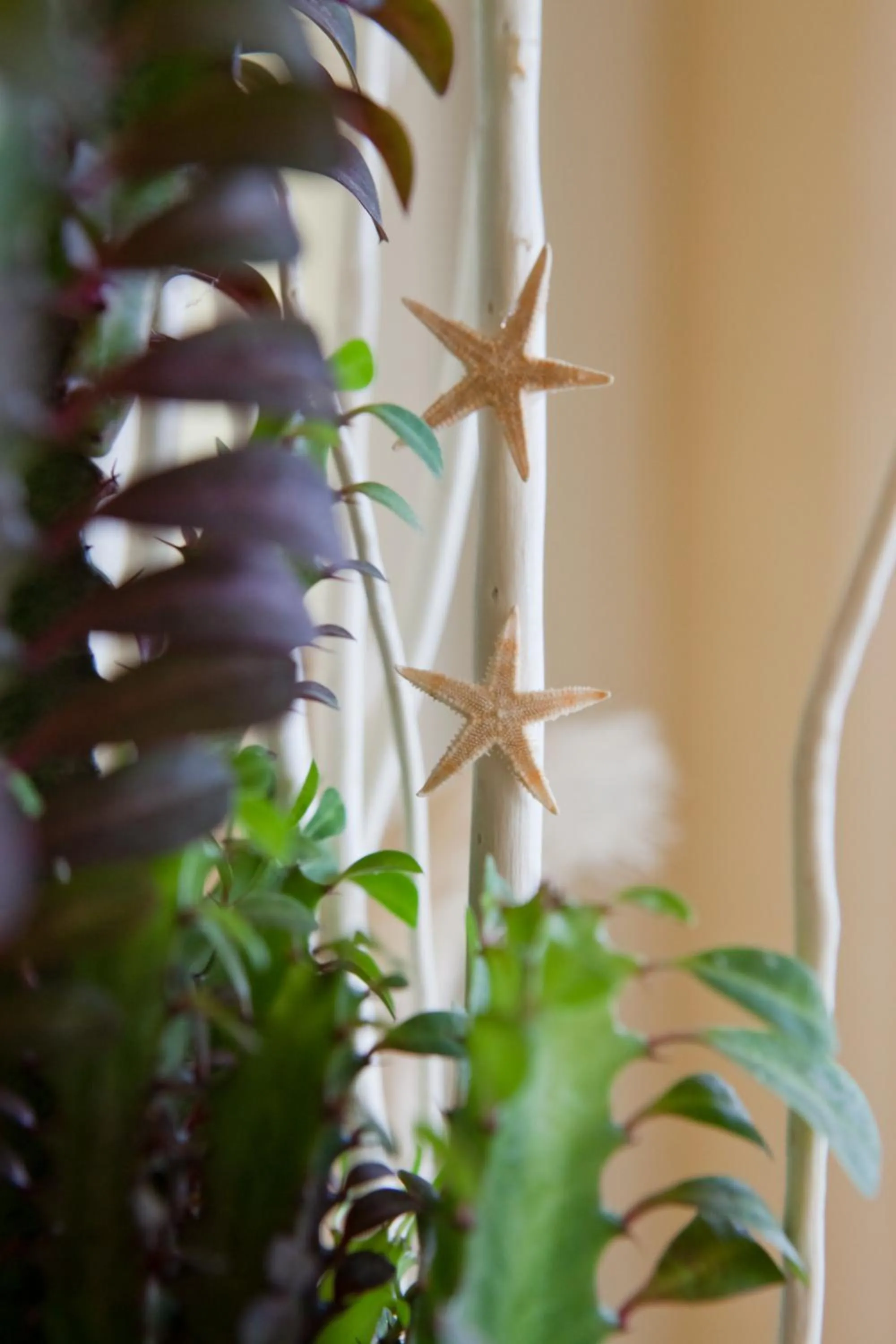 Decorative detail in Hotel Piccadilly