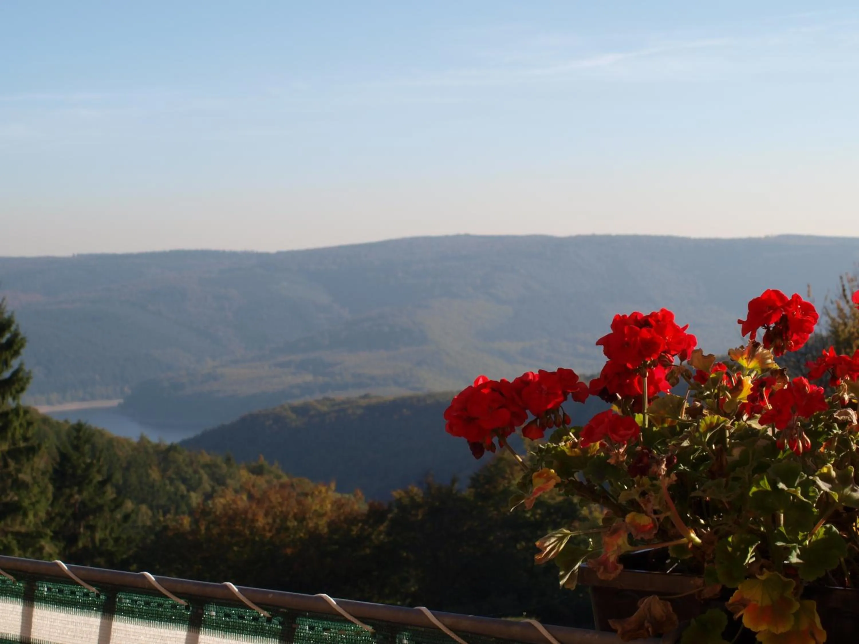Lake view in Hotel Haus Seeblick