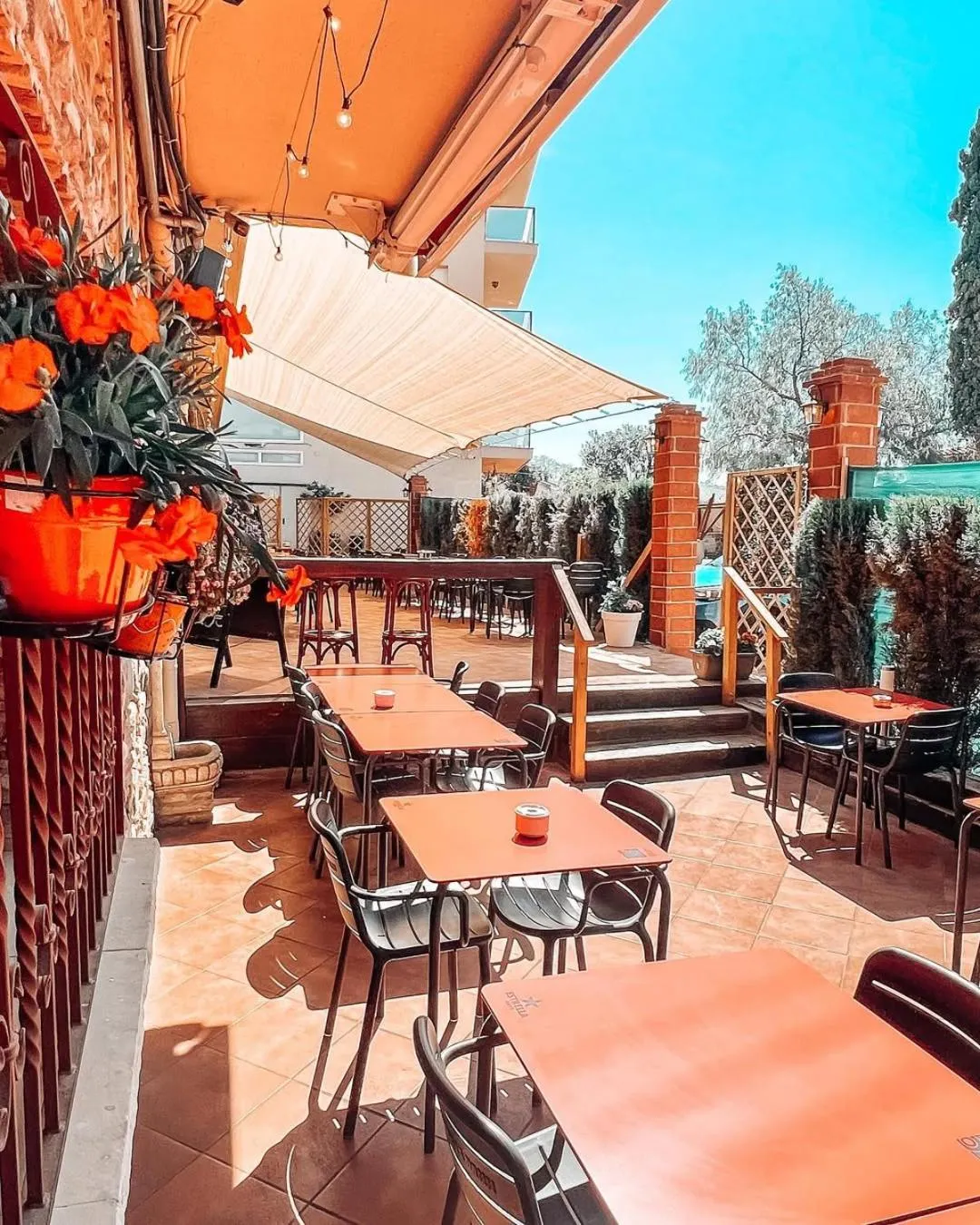 Restaurant/places to eat in Hotel Consentido