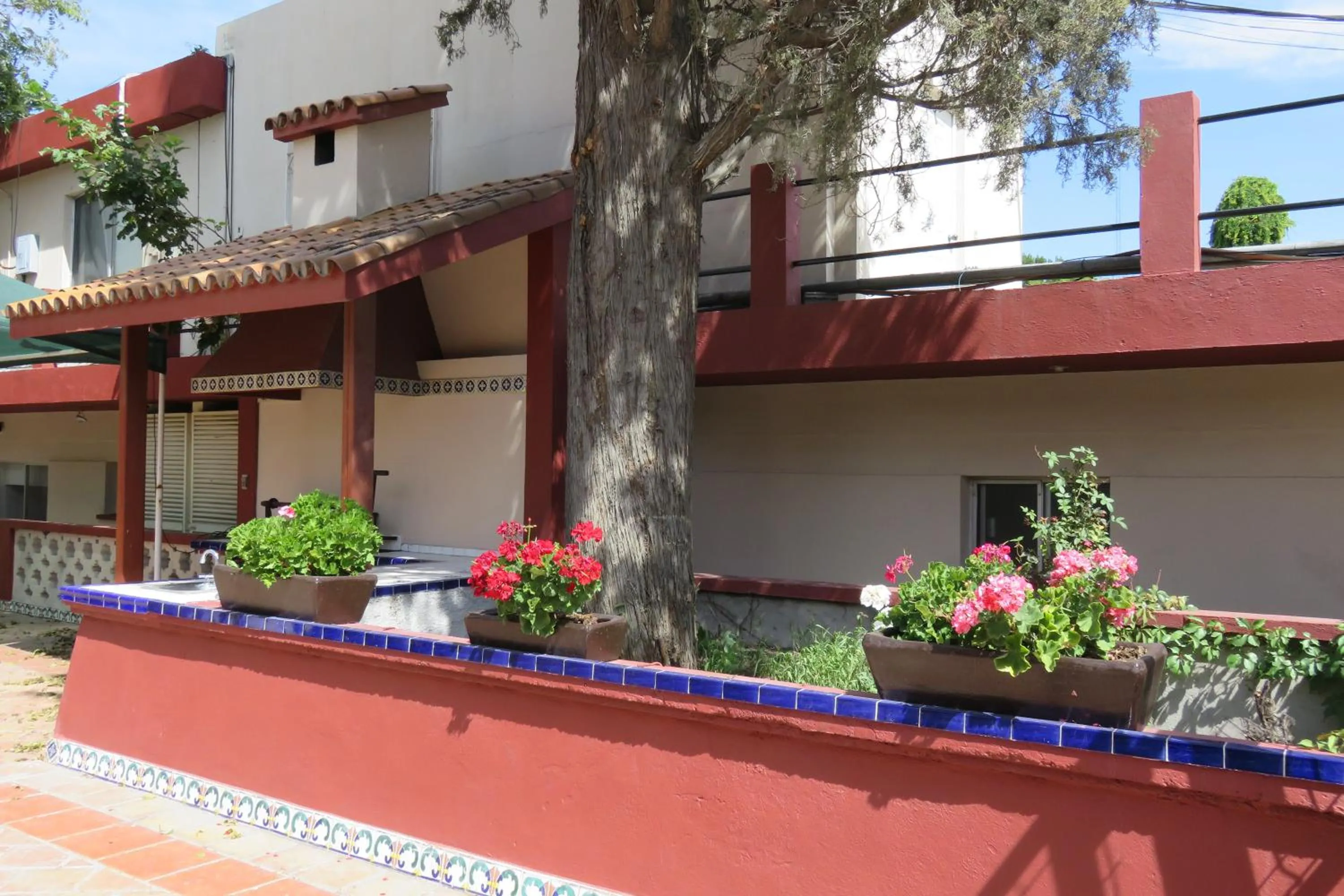 Garden in Hotel Huizache