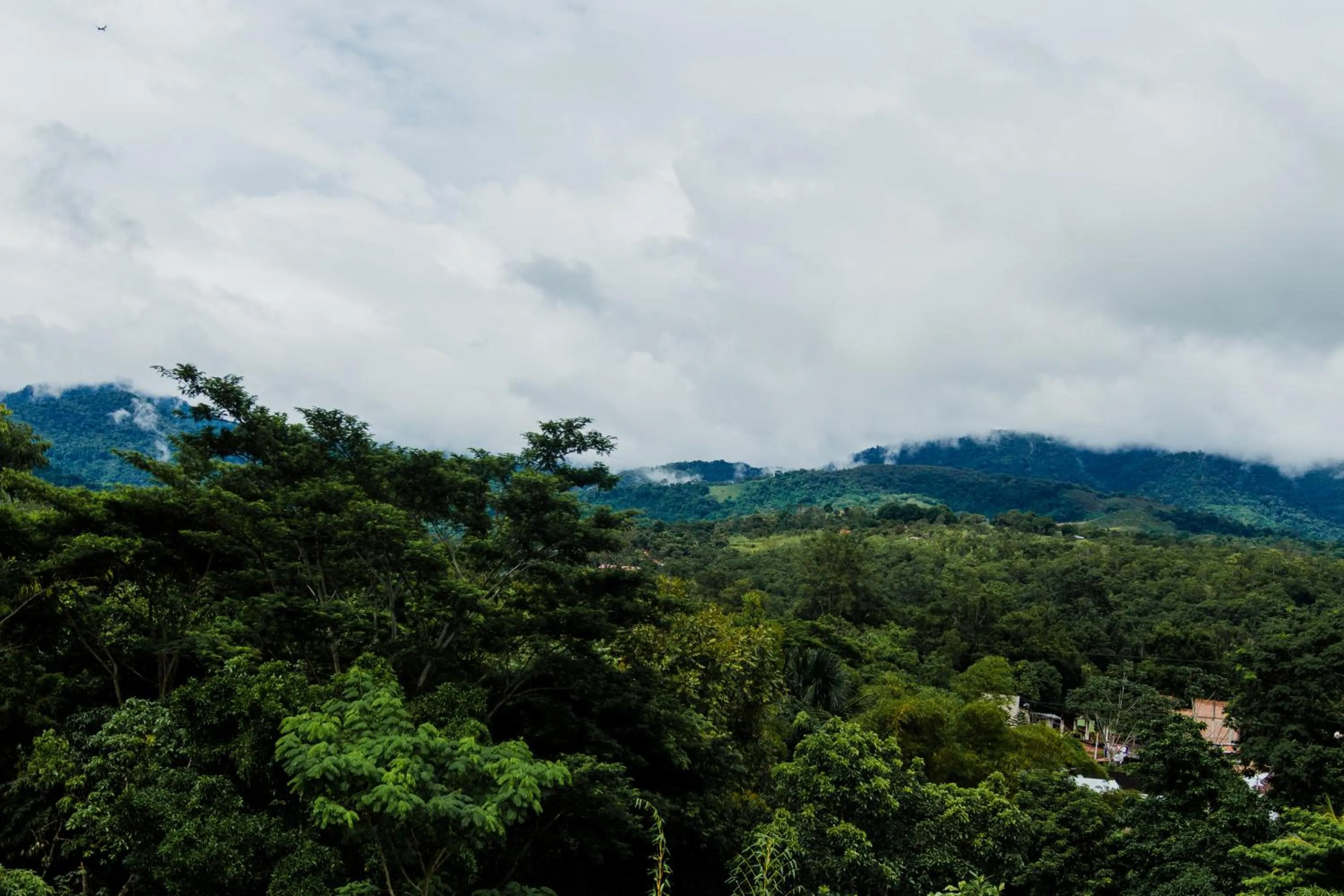 Nearby landmark in Posada del Angel Hotel