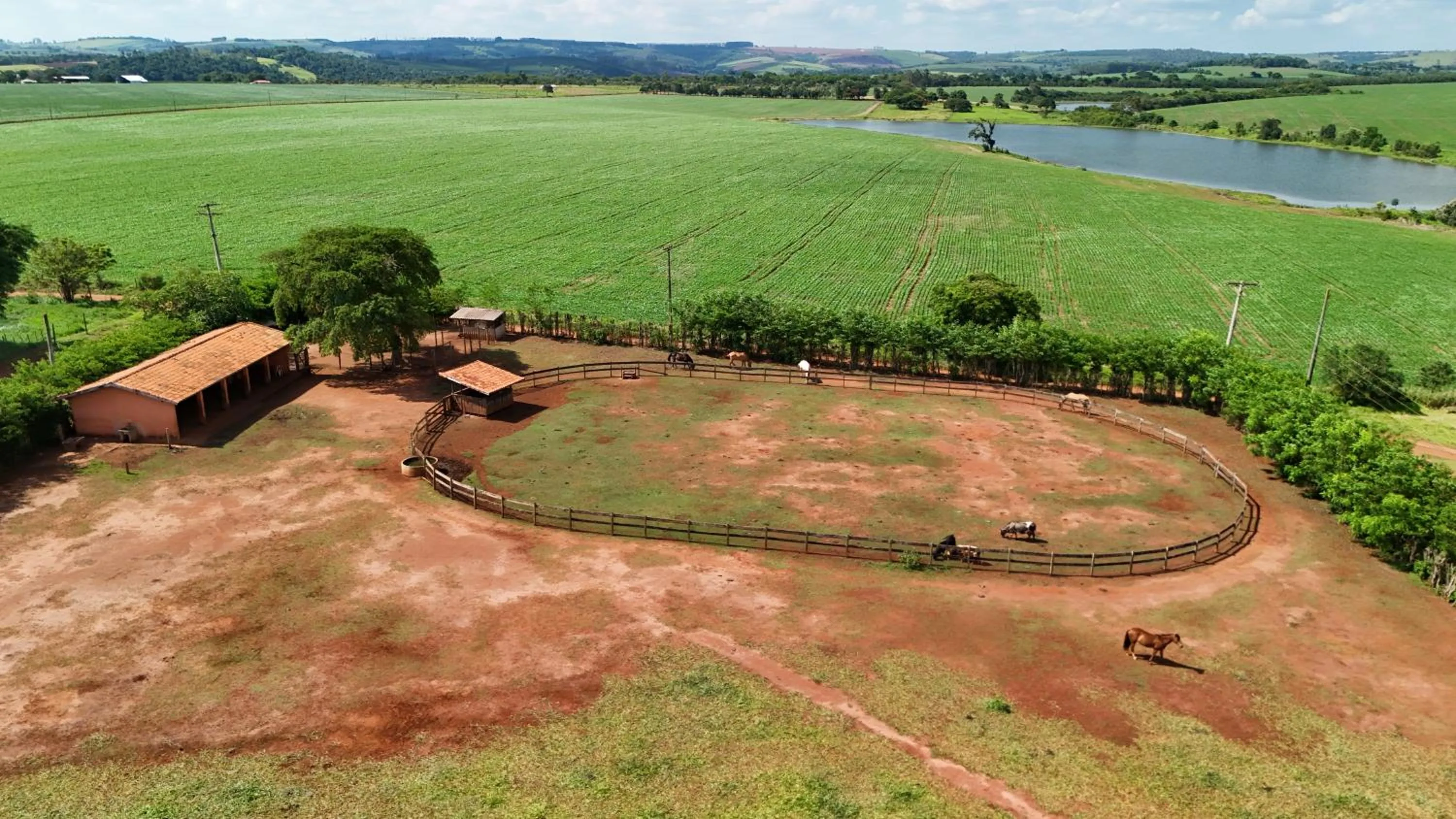 Day in Hotel Berro D`Agua Eco Resort