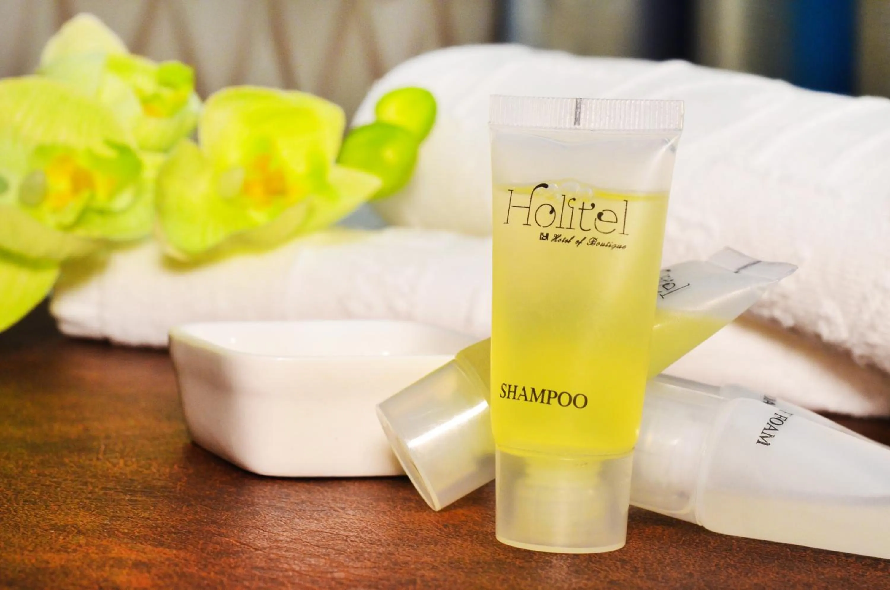 Hotel Boutique Holitel