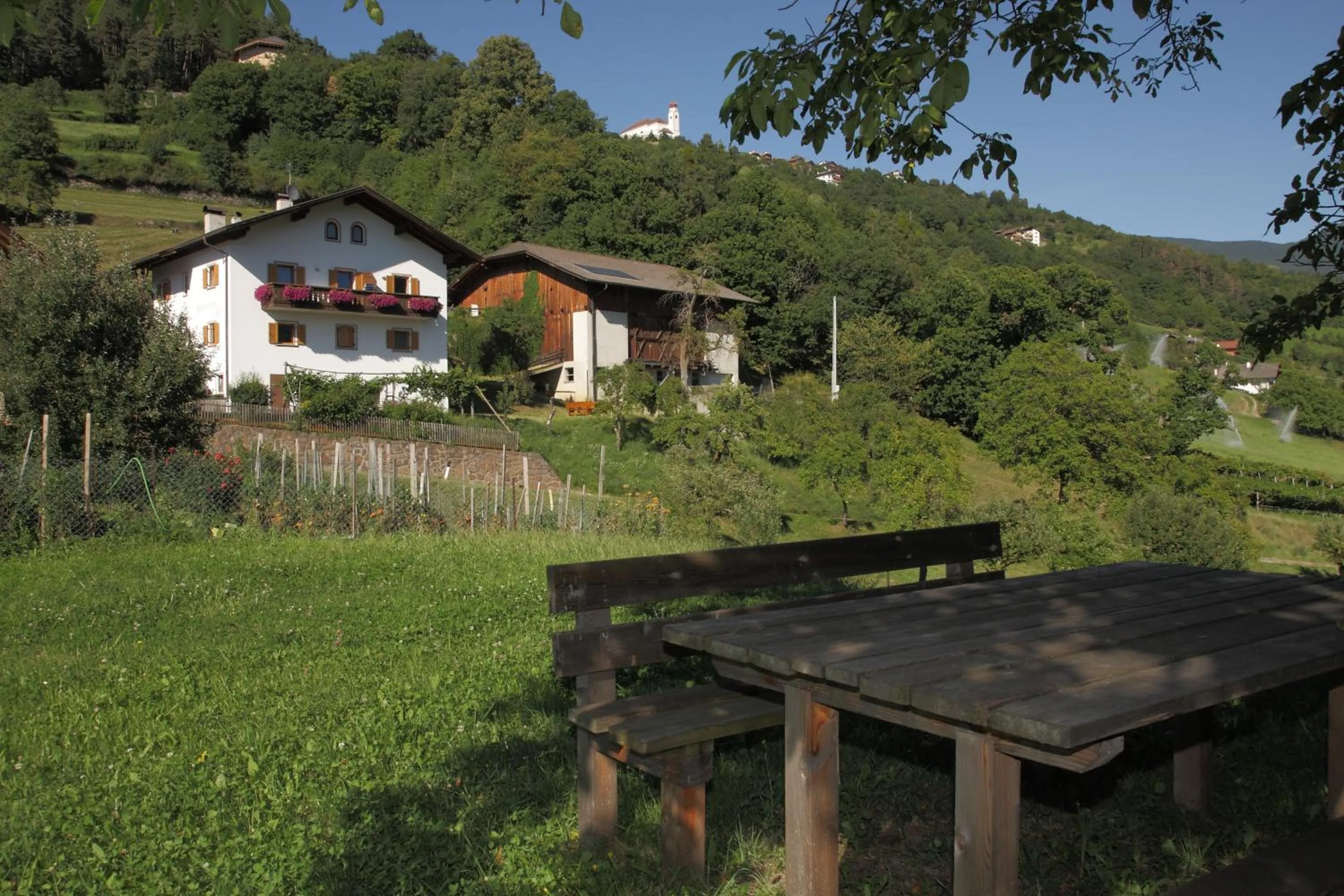 Activities in Paderlafoderhof