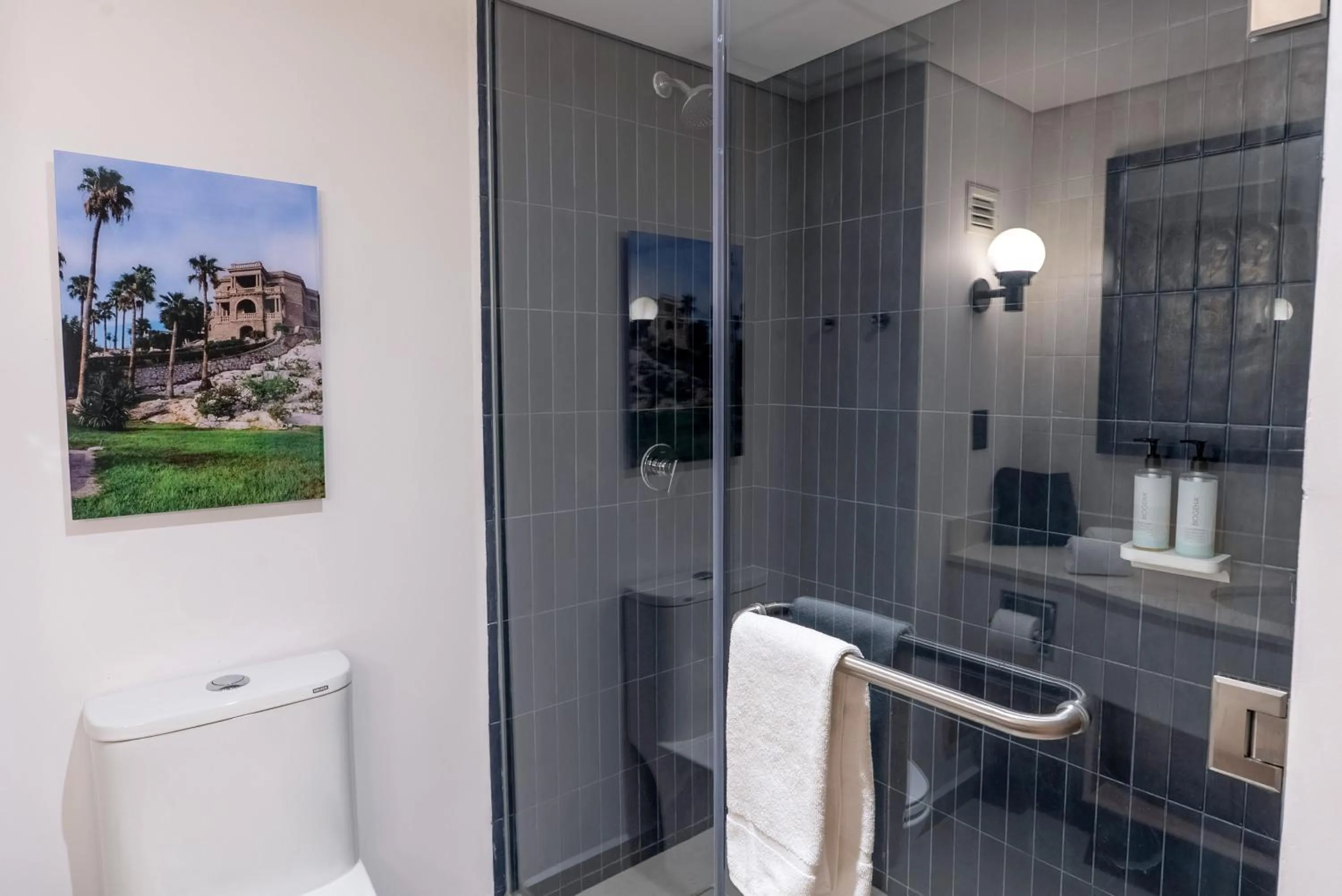 Shower in Hampton Inn Torreon Airport-Galerias