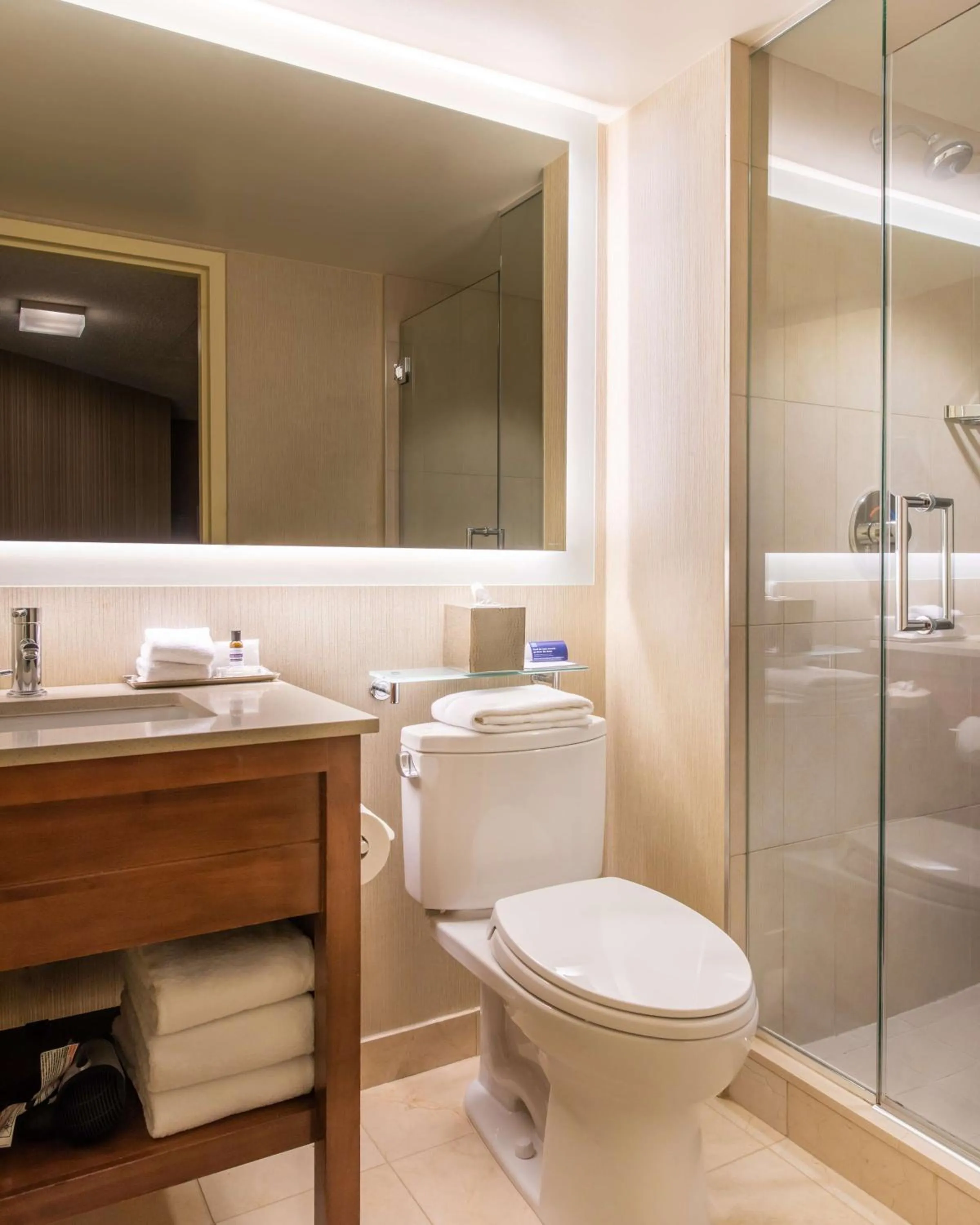 Bathroom in Hyatt Regency Chicago