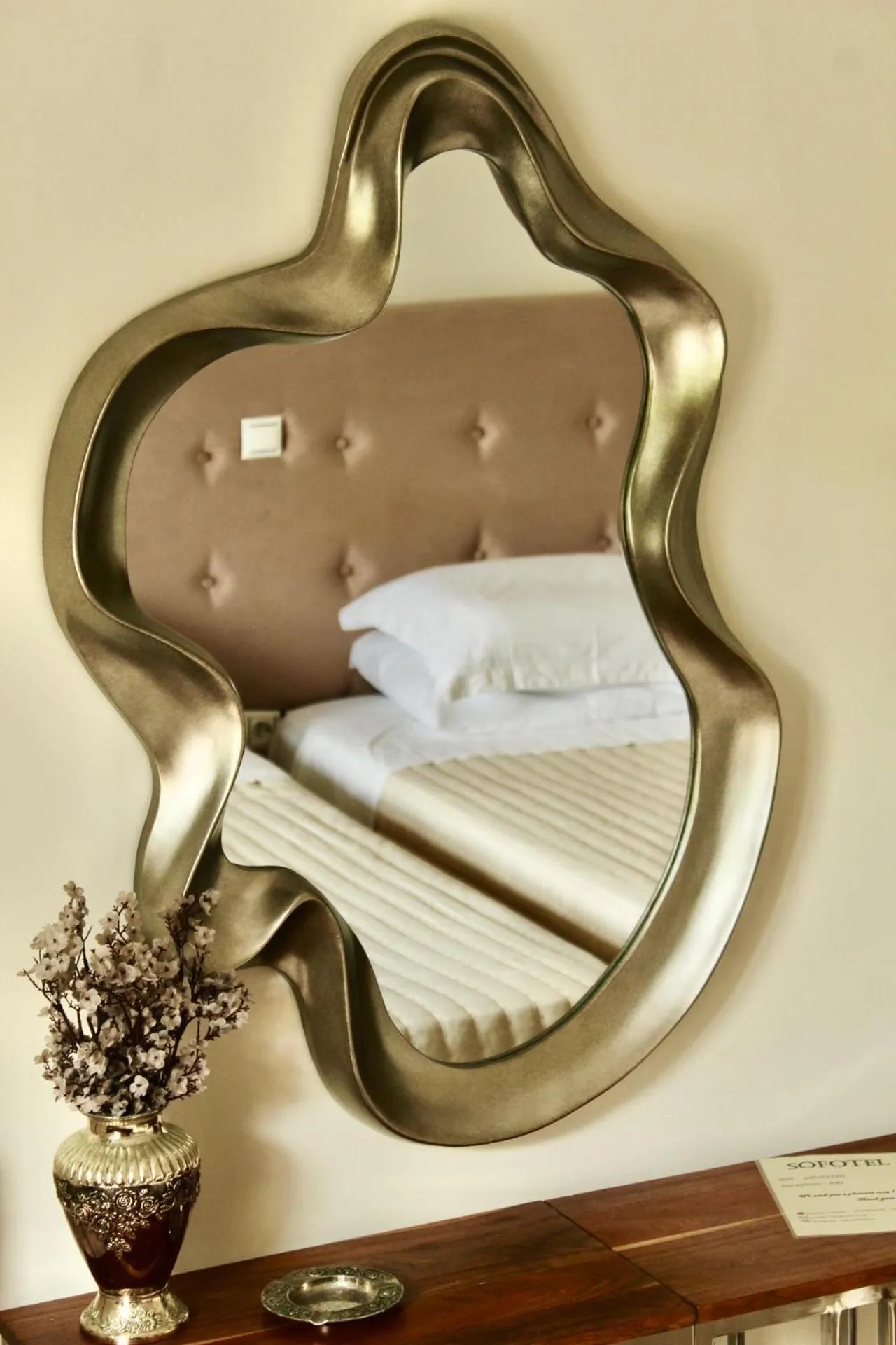 Photo of the whole room in Sofotel