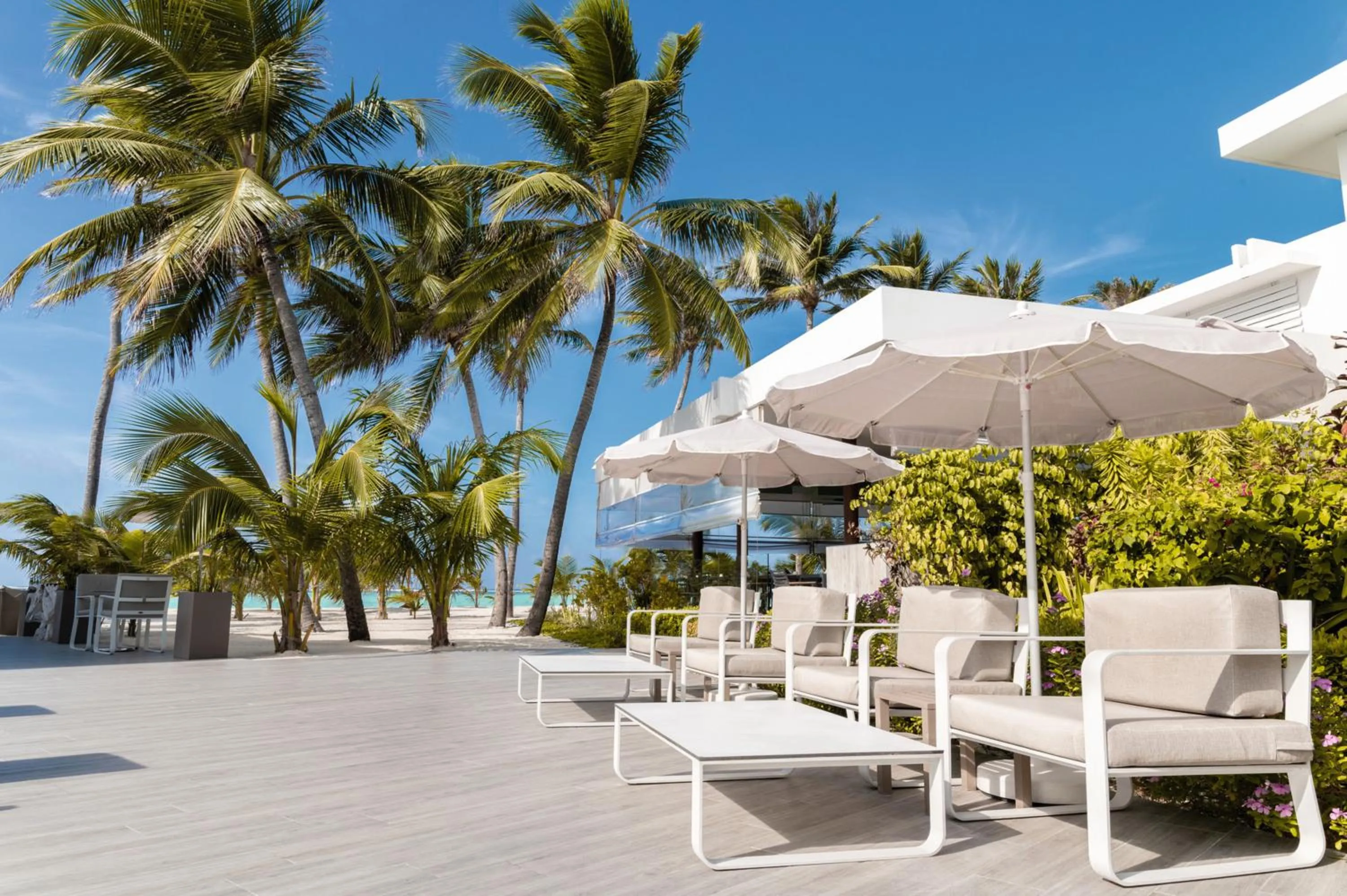 Lounge or bar in Riu Palace Maldivas- All Inclusive