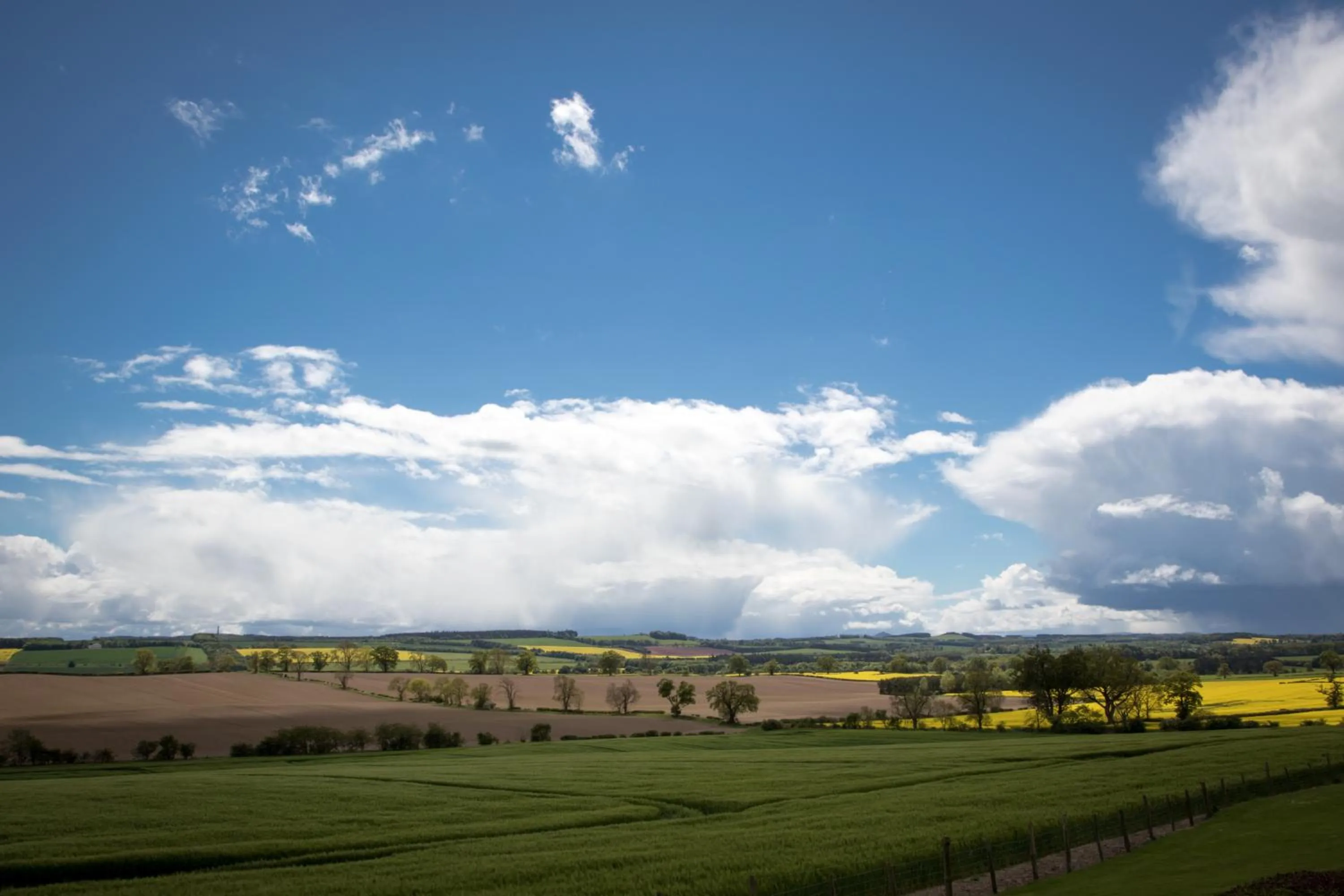 View (from property/room) in Whitehouse Country House