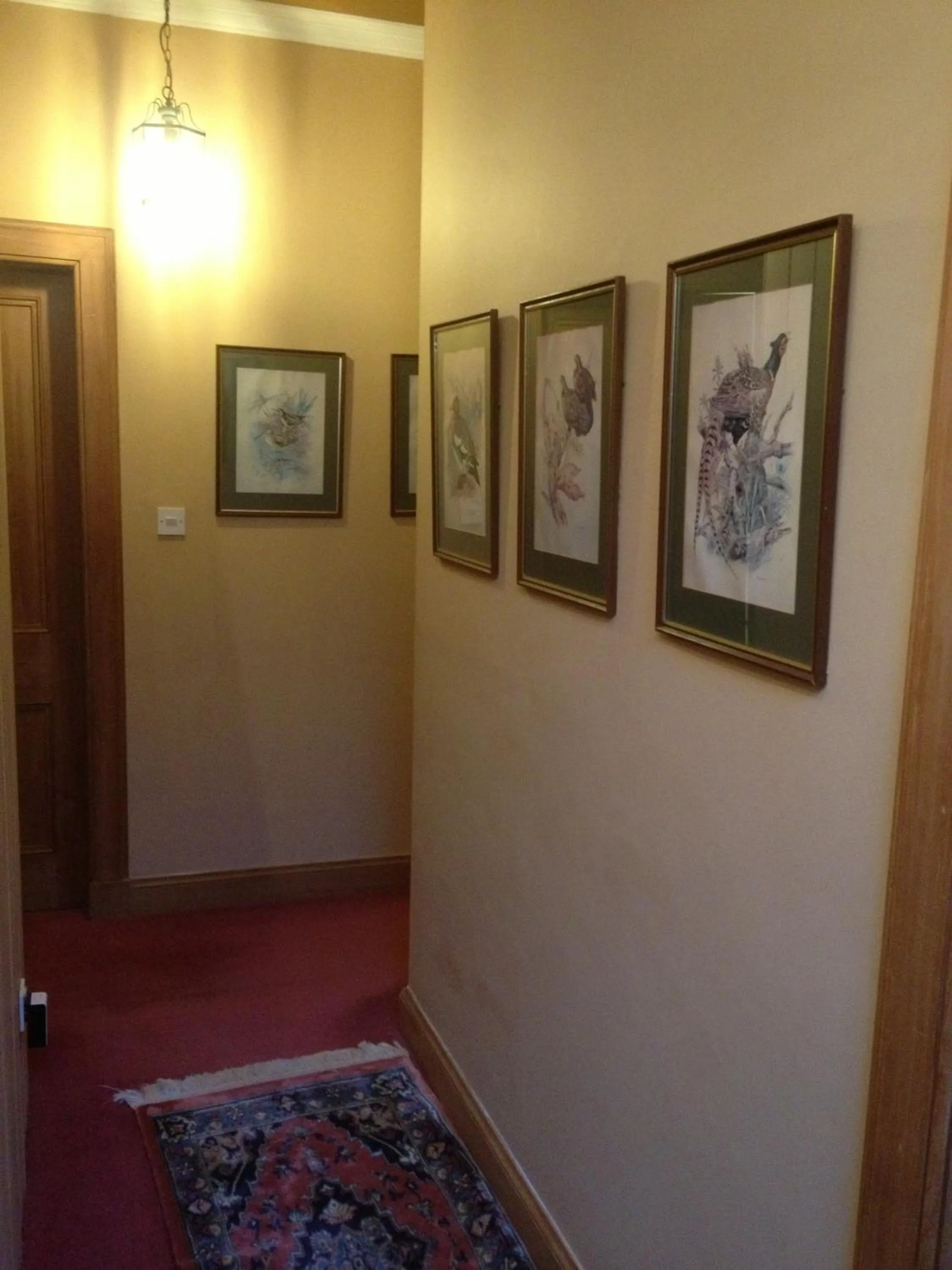 Area and facilities in Whitehouse Country House