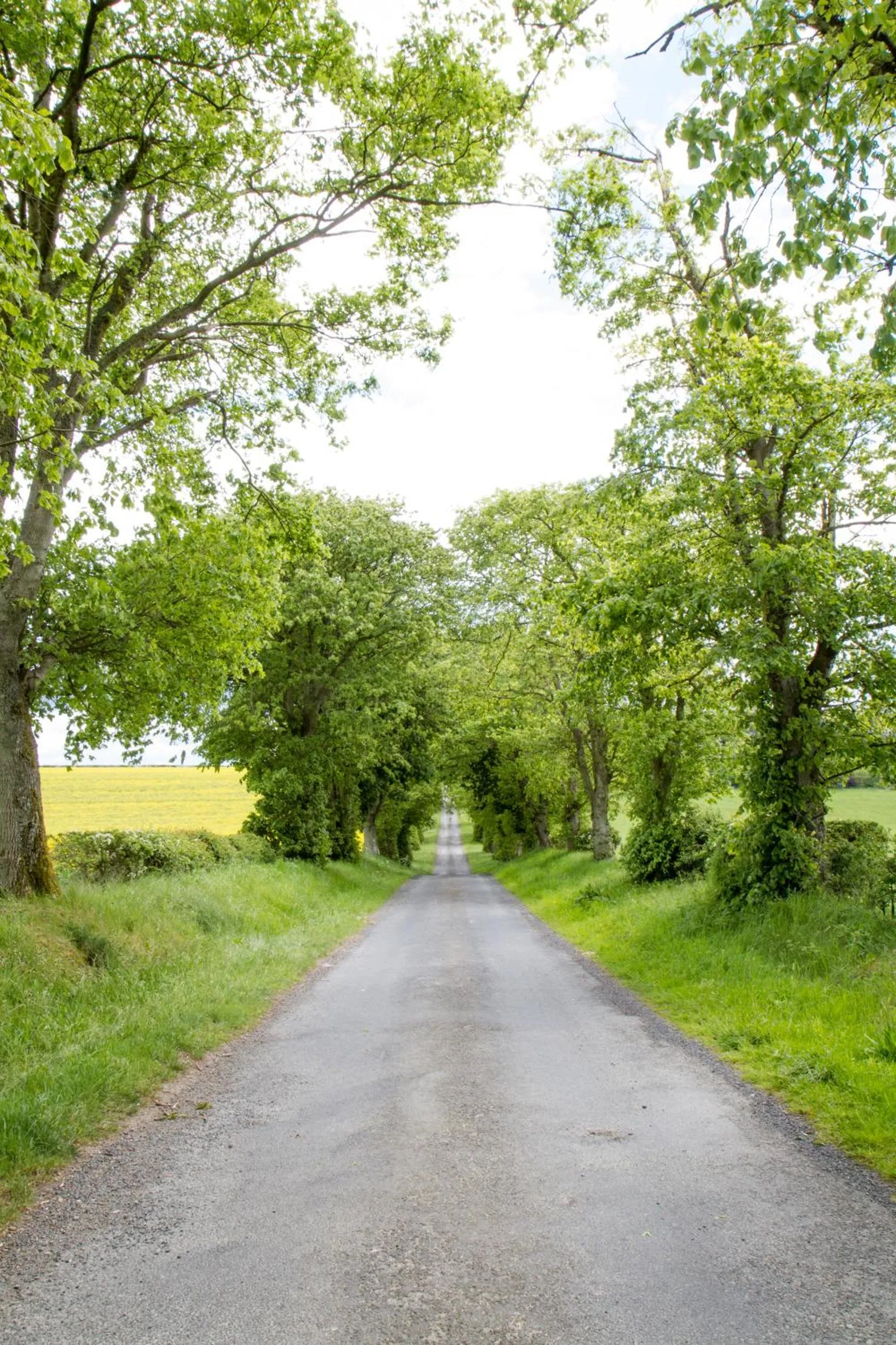 On site in Whitehouse Country House