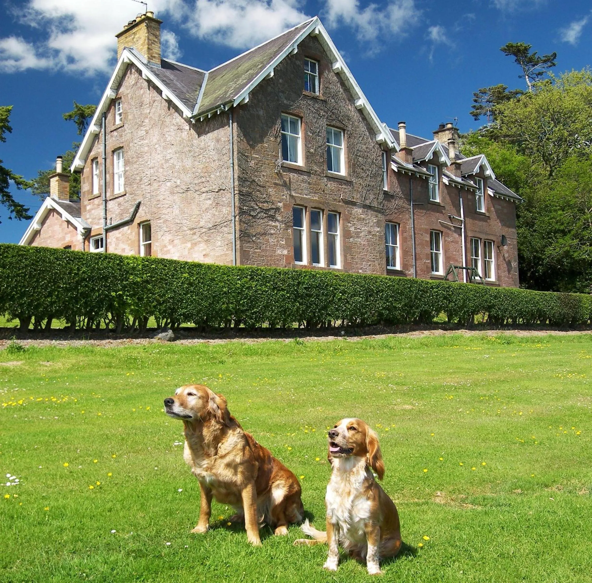 Pets in Whitehouse Country House