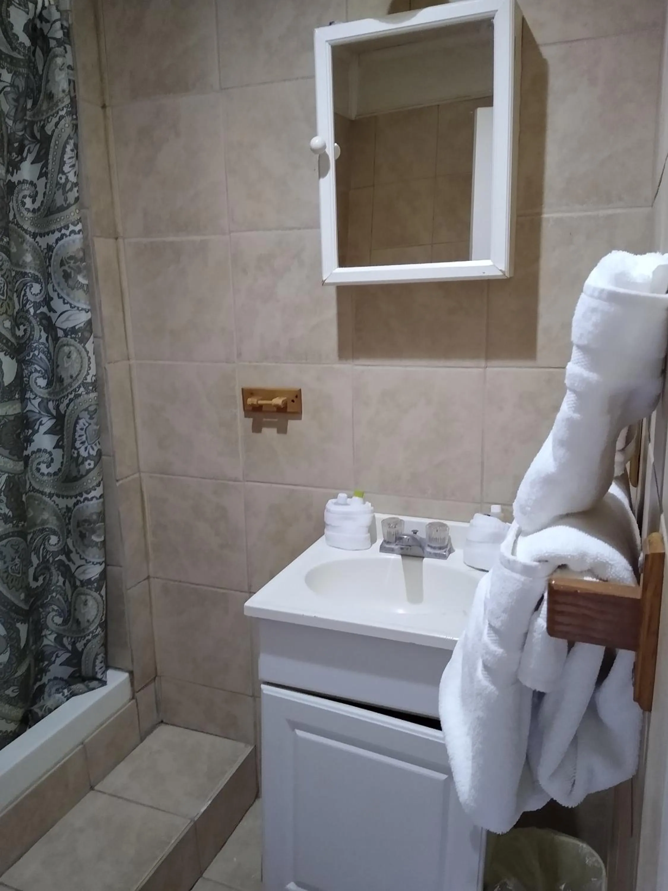 Bathroom in Clarysville Motel