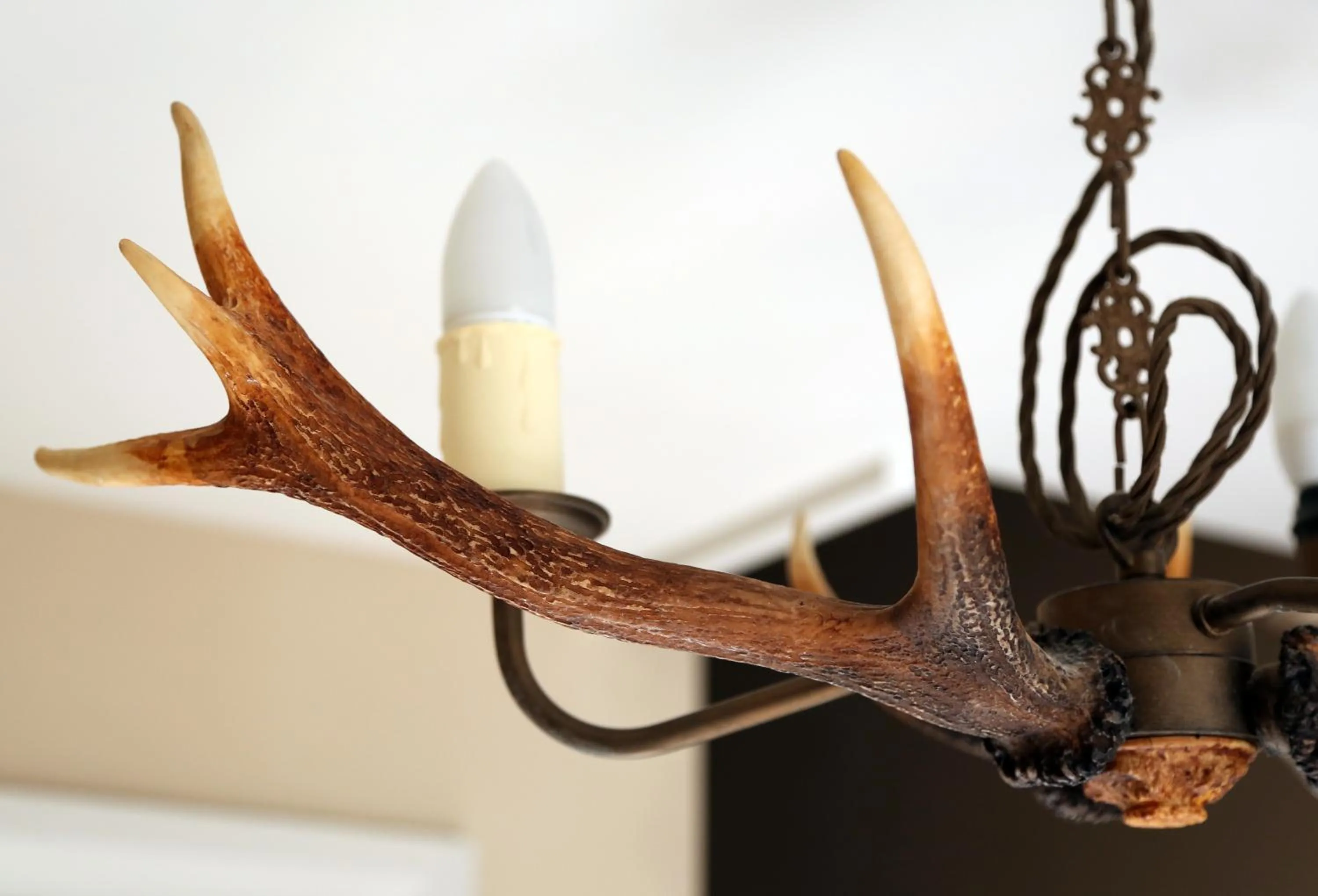 Decorative detail in The Museum Inn