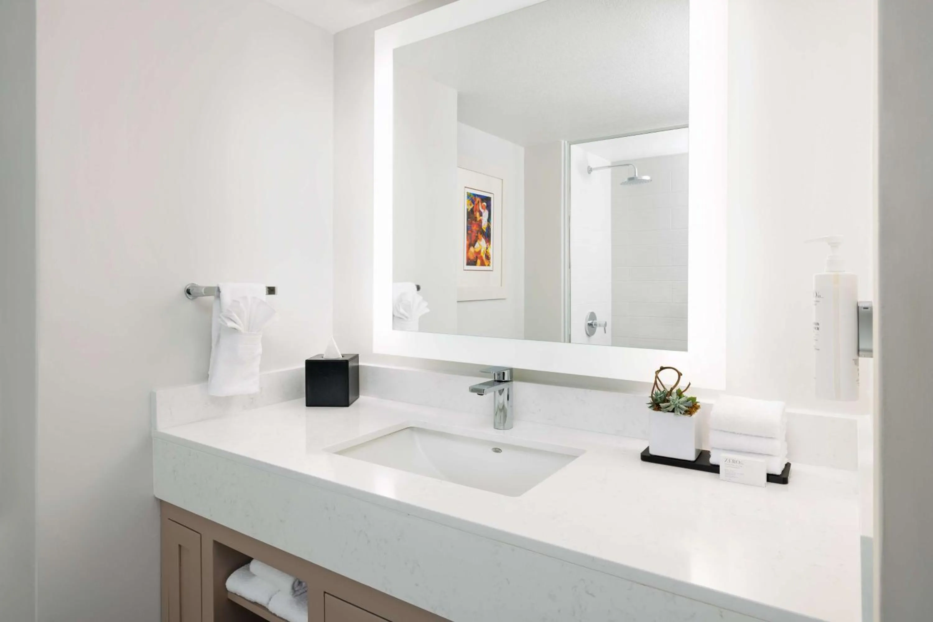 Bathroom in Embassy Suites by Hilton San Juan - Hotel & Casino