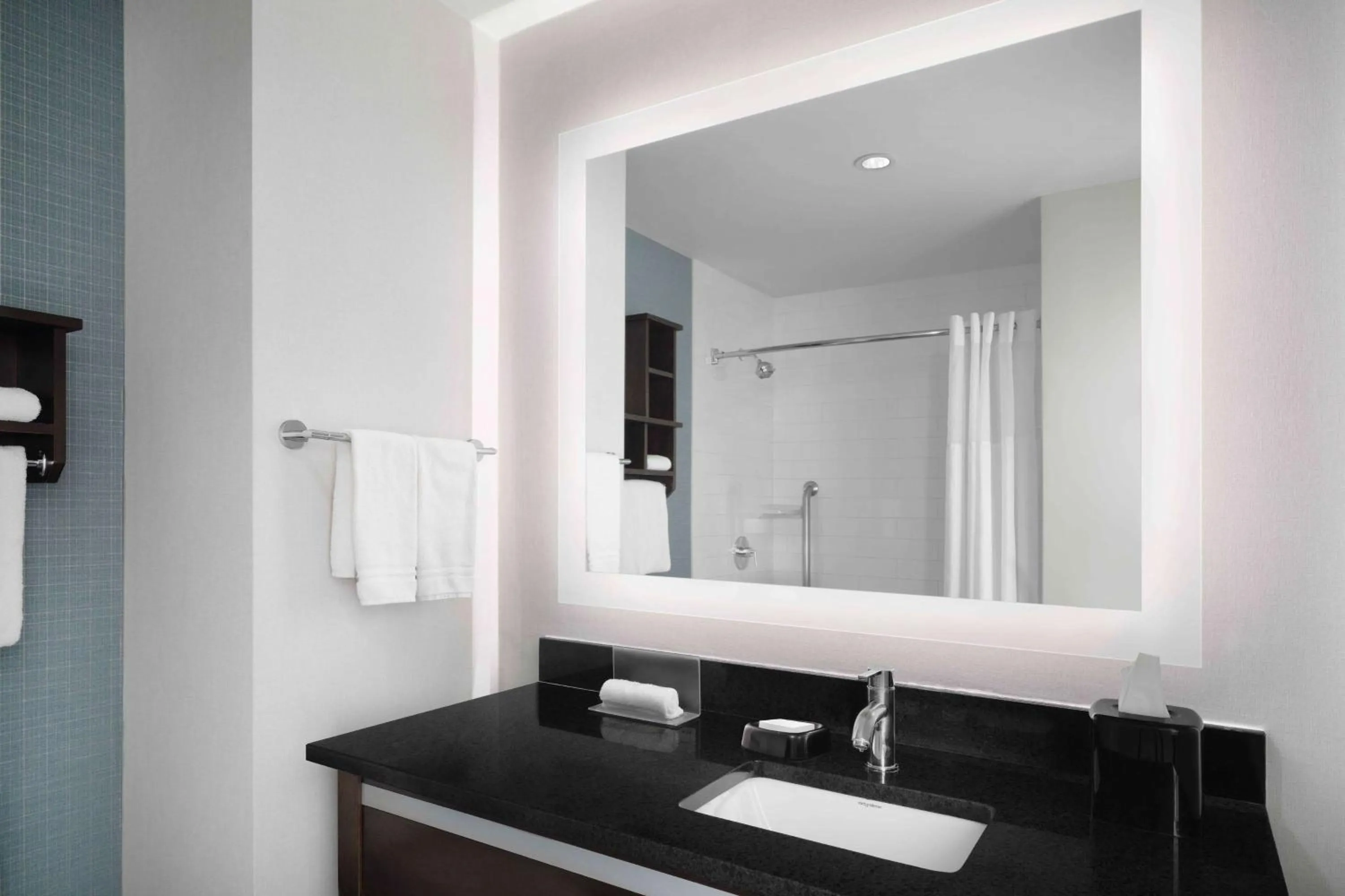 Bathroom in Hampton Inn & Suites Denver Downtown Convention Center