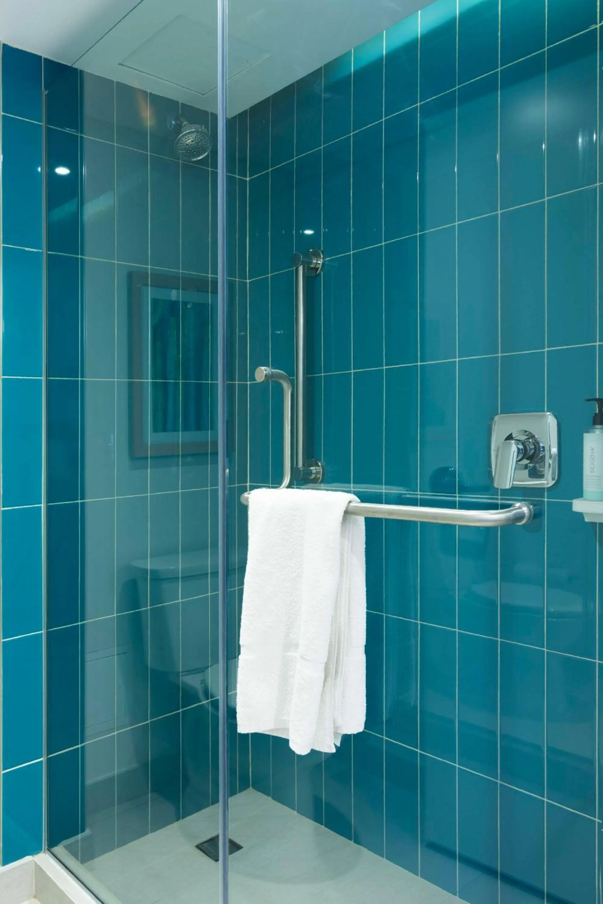 Bathroom in Hampton by Hilton Saltillo Zona Aeropuerto