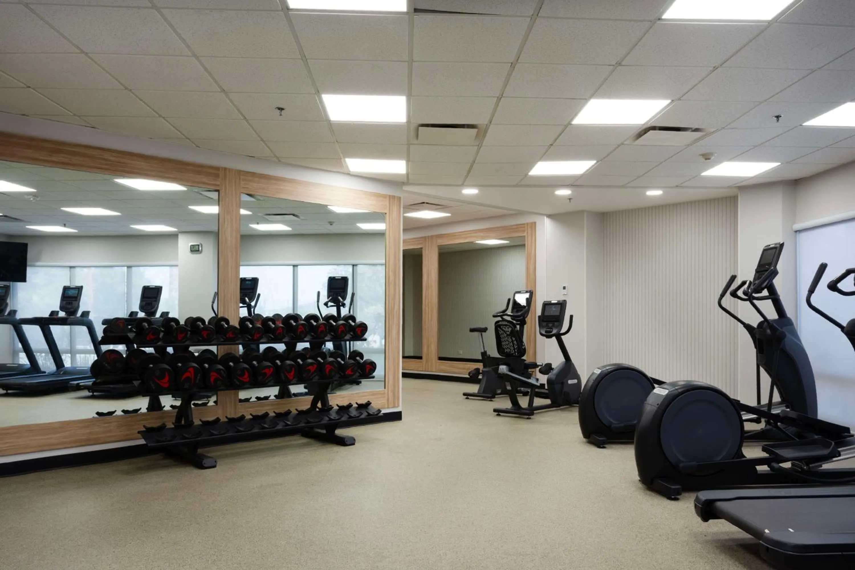Fitness centre/facilities in Hampton by Hilton Saltillo Zona Aeropuerto
