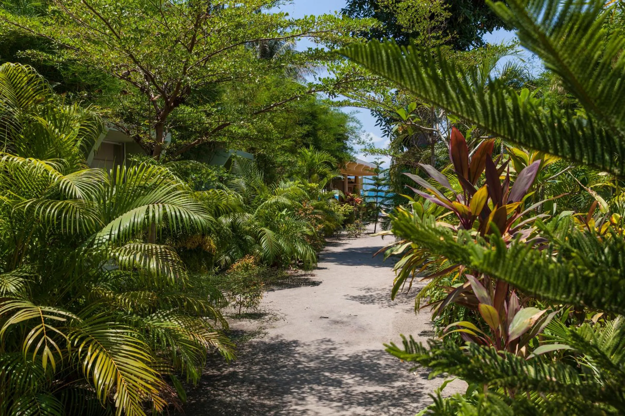 Garden in Le Divine Comedie Beach Resort