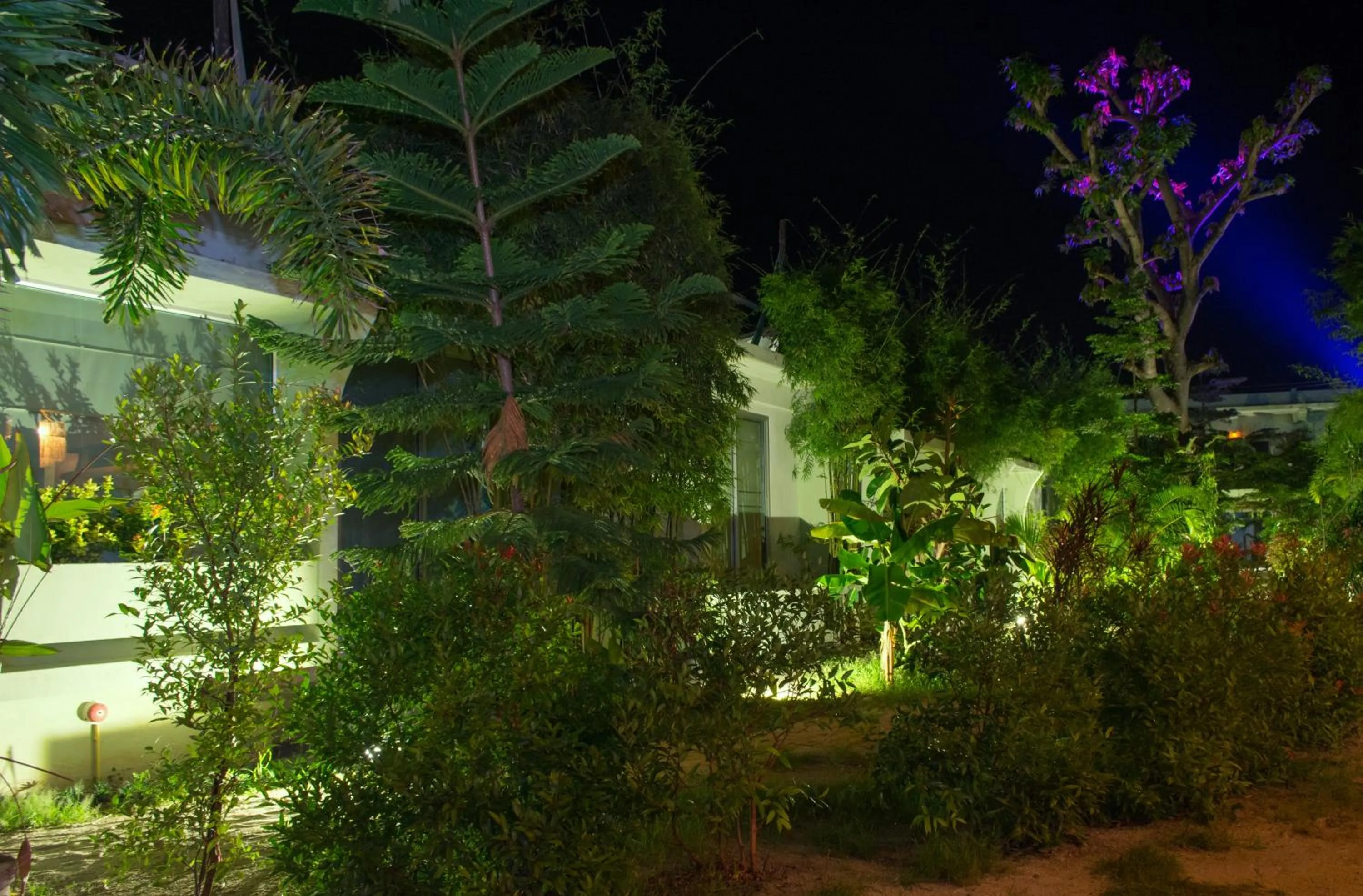 Other in Le Divine Comedie Beach Resort