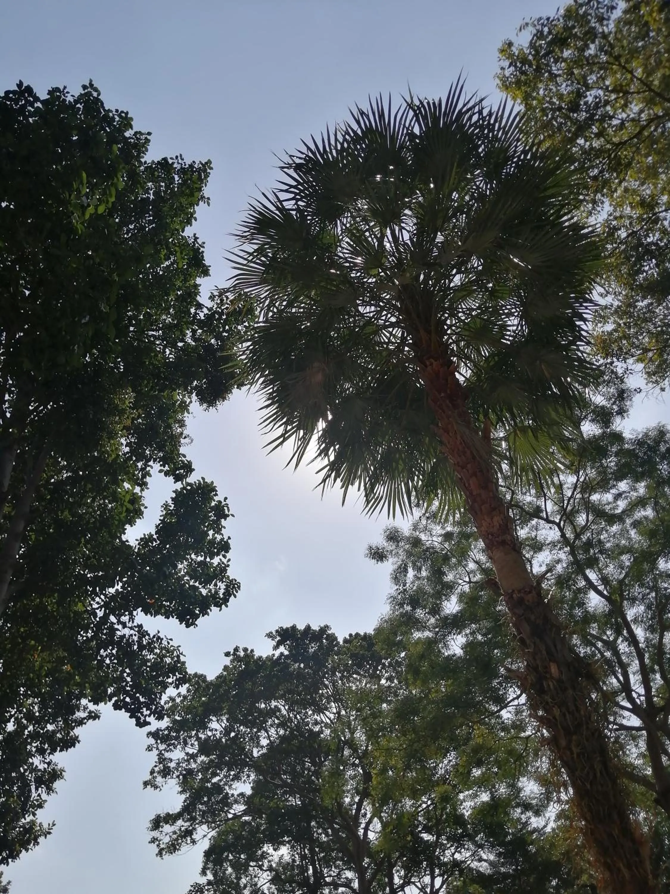 Natural landscape in Lazy Republique