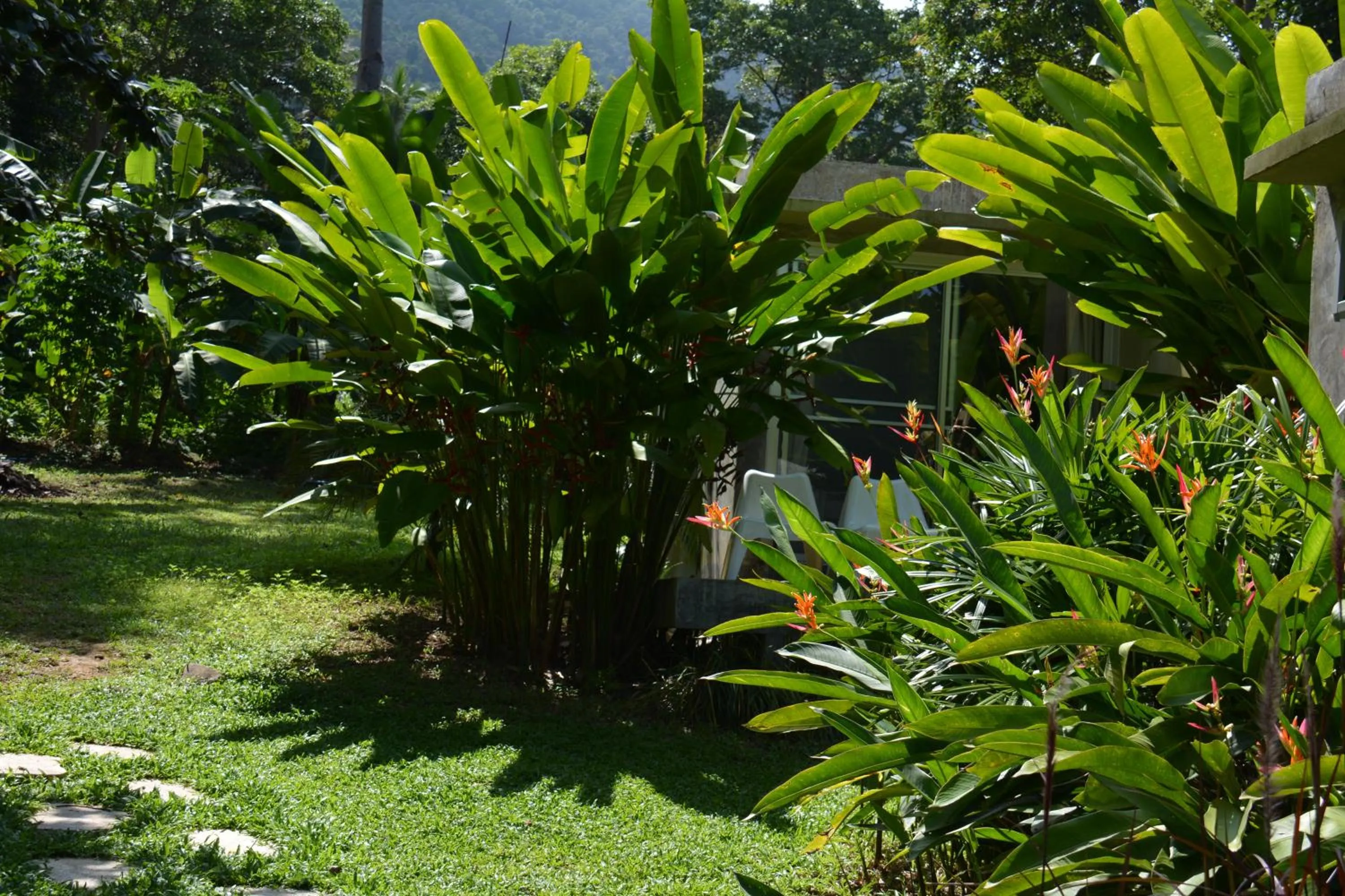 Garden in Lazy Republique