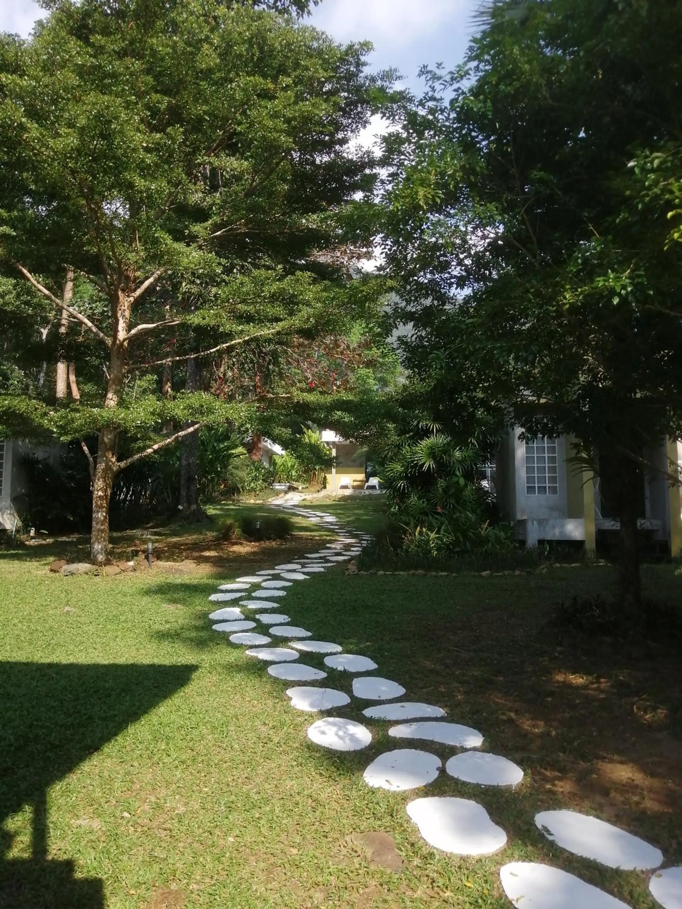 Garden in Lazy Republique