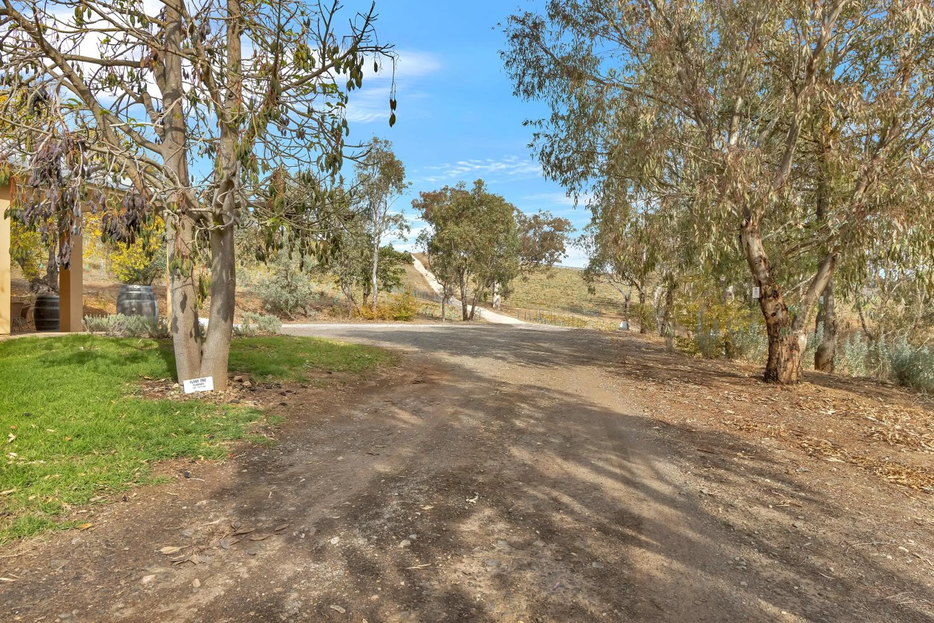 Natural landscape in Lambert Estate Retreat