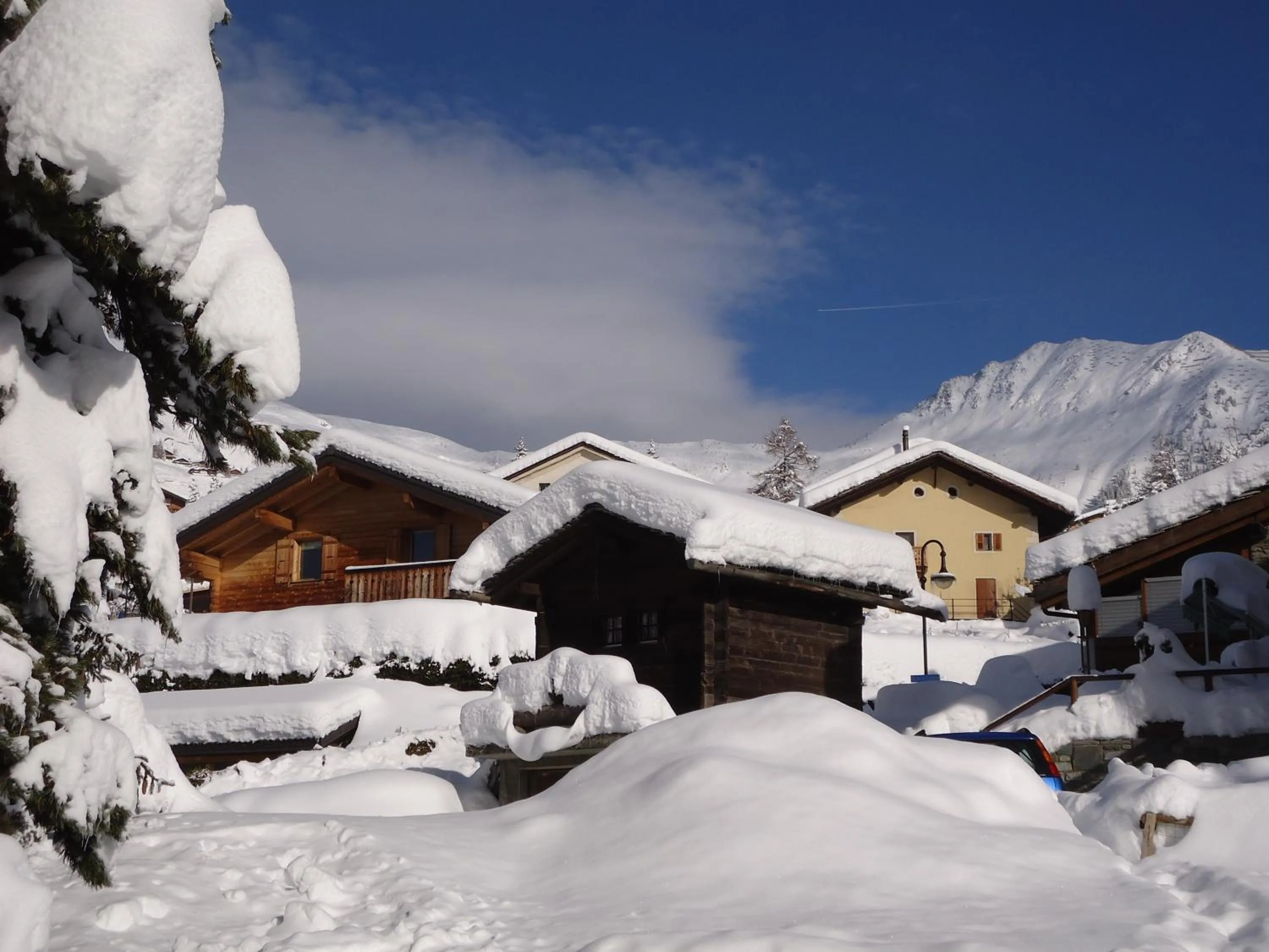 Area and facilities in Hotel les Touristes