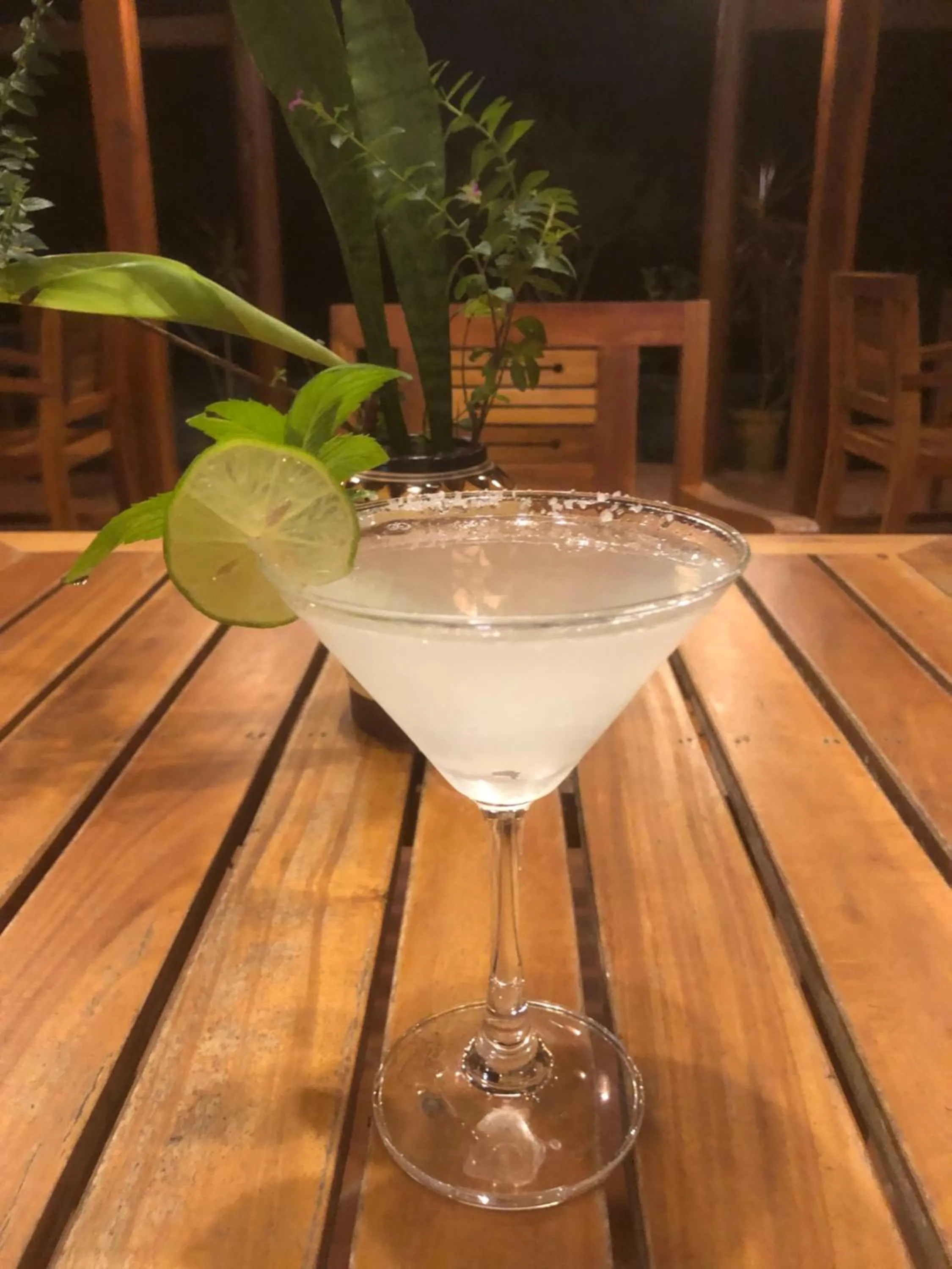 Lounge or bar in Island Lodge