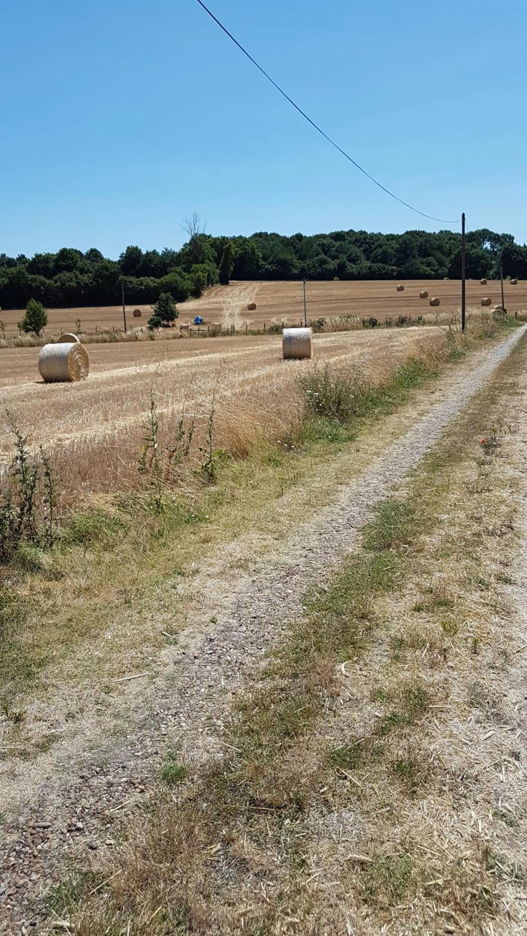 Natural landscape in Le Vitard
