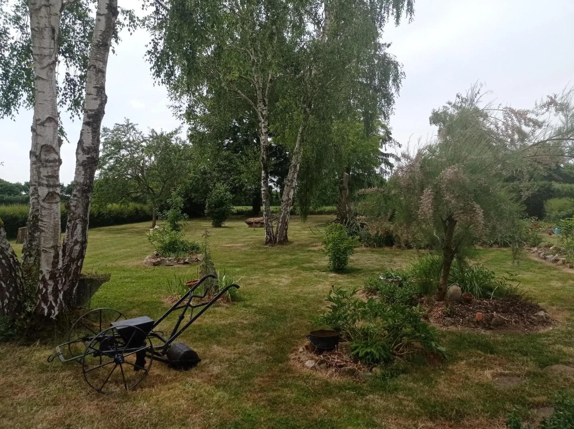 Natural landscape in Le Vitard