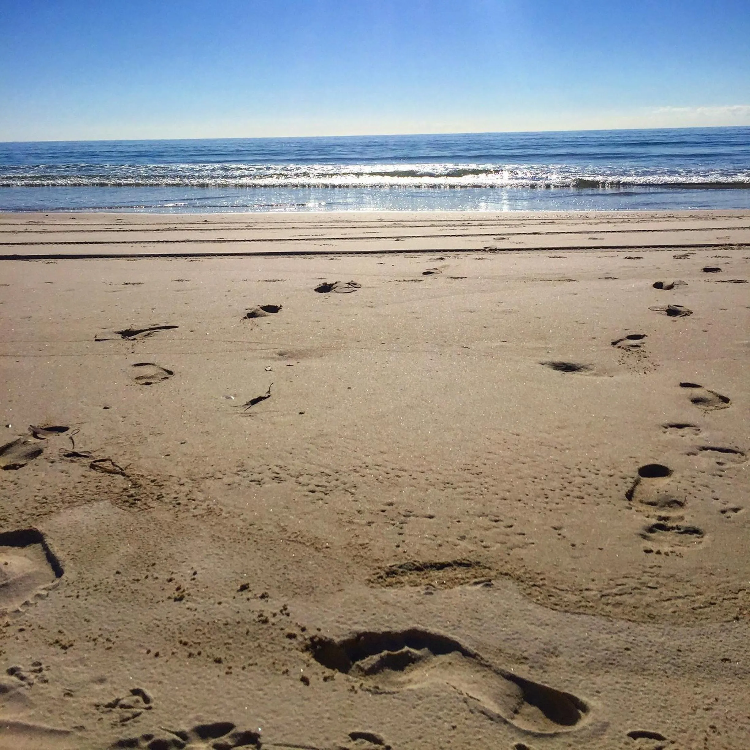 Activities in Kirra Surf Apartments