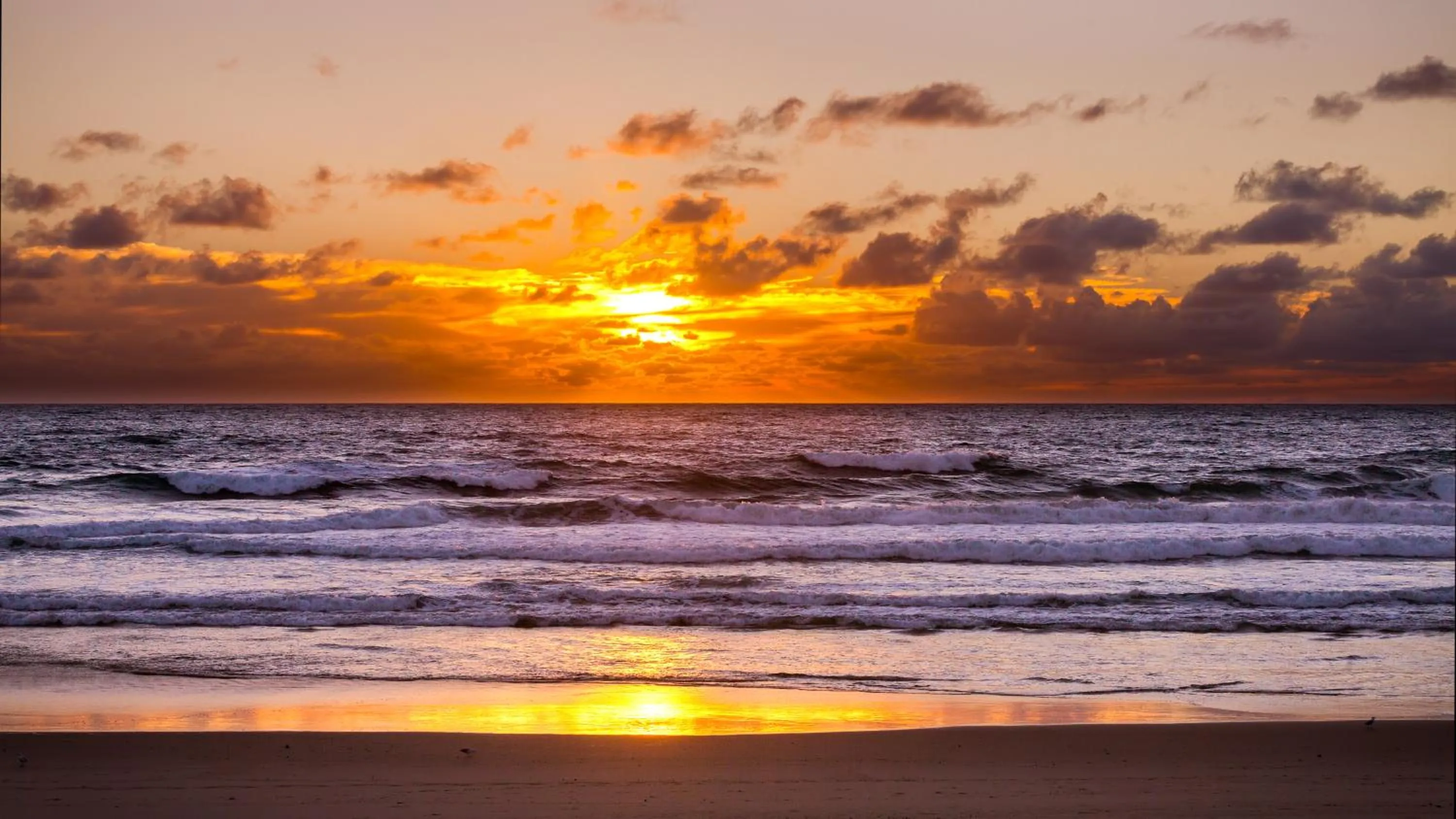Natural landscape in Kirra Surf Apartments