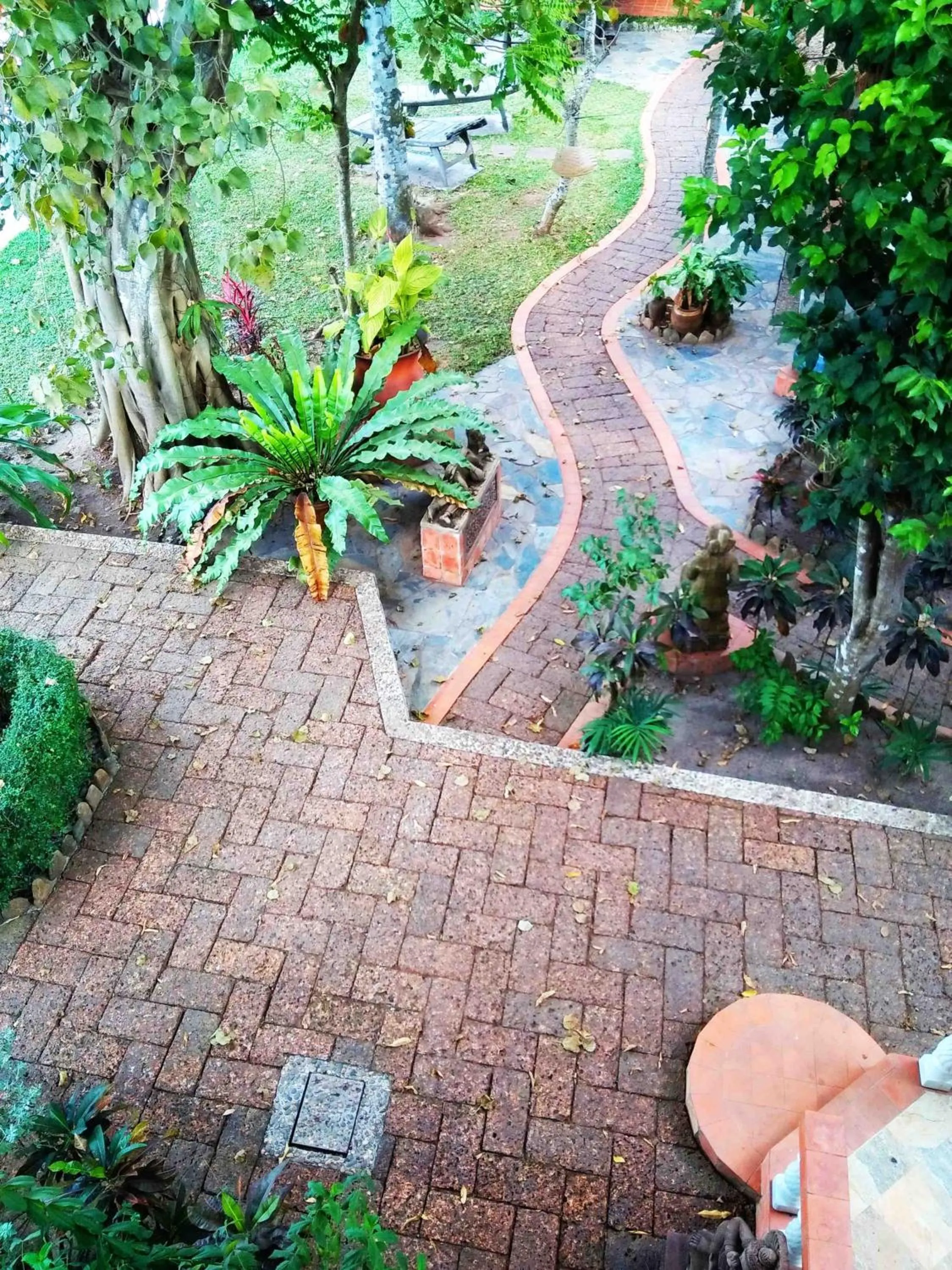 Garden in Mut Mee Garden Guest House