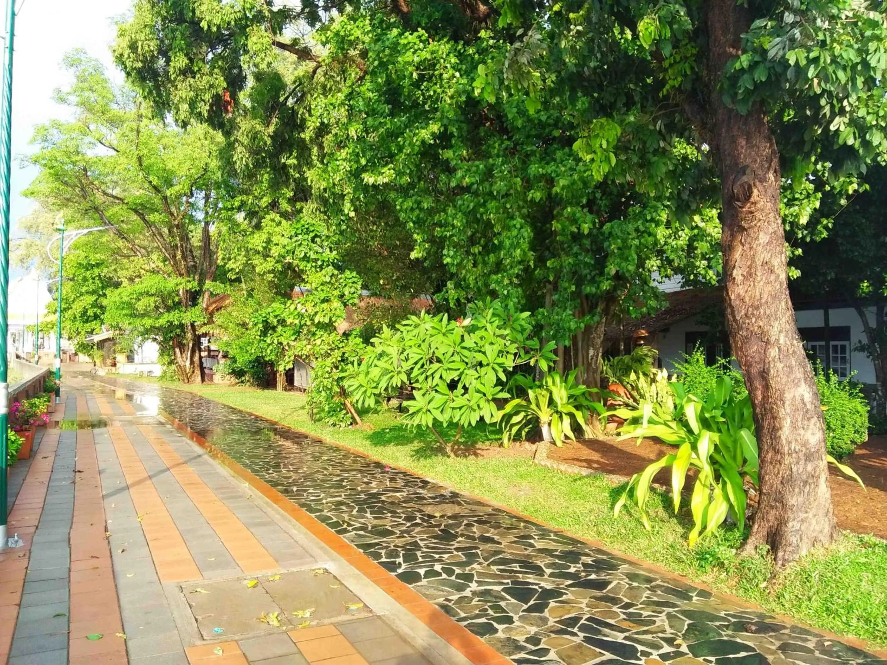 Natural landscape in Mut Mee Garden Guest House