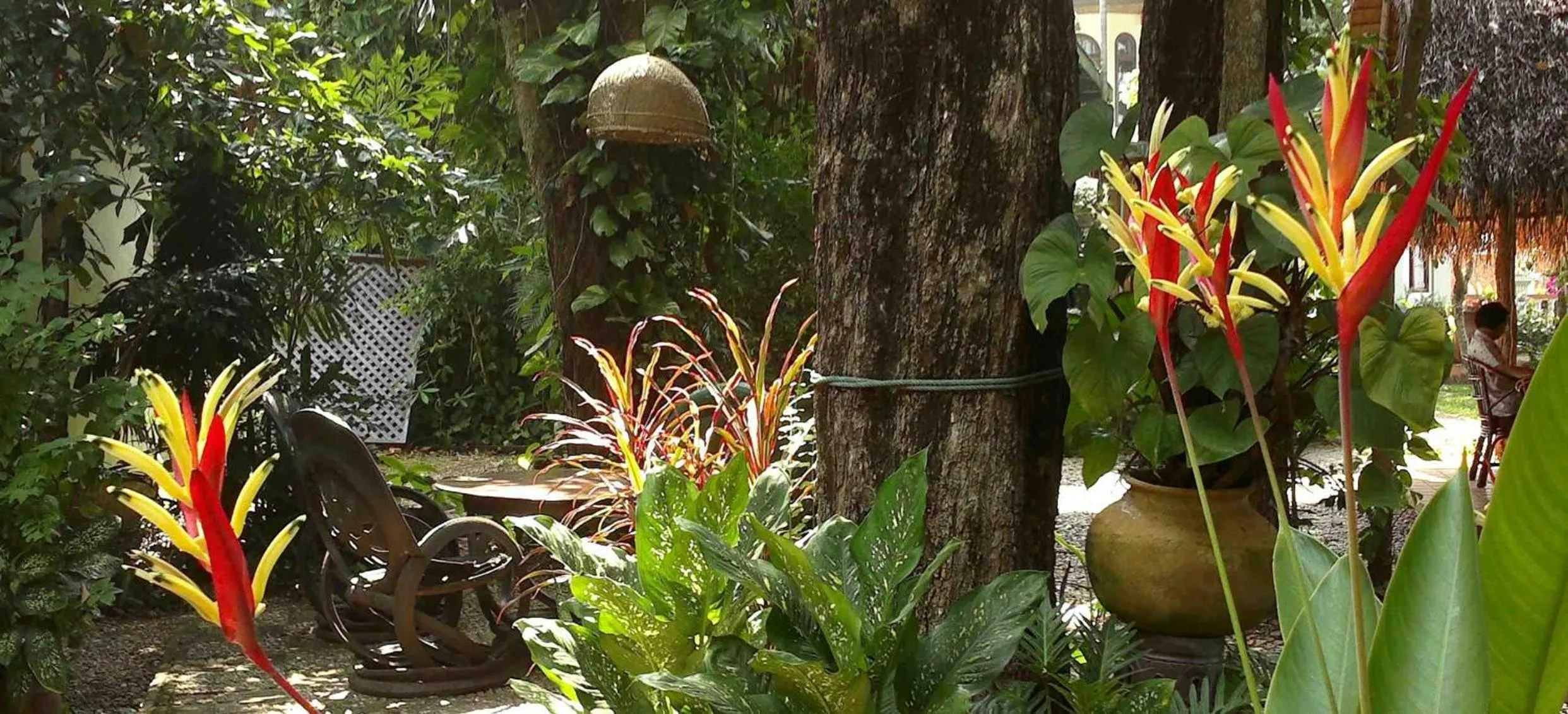 Garden in Mut Mee Garden Guest House