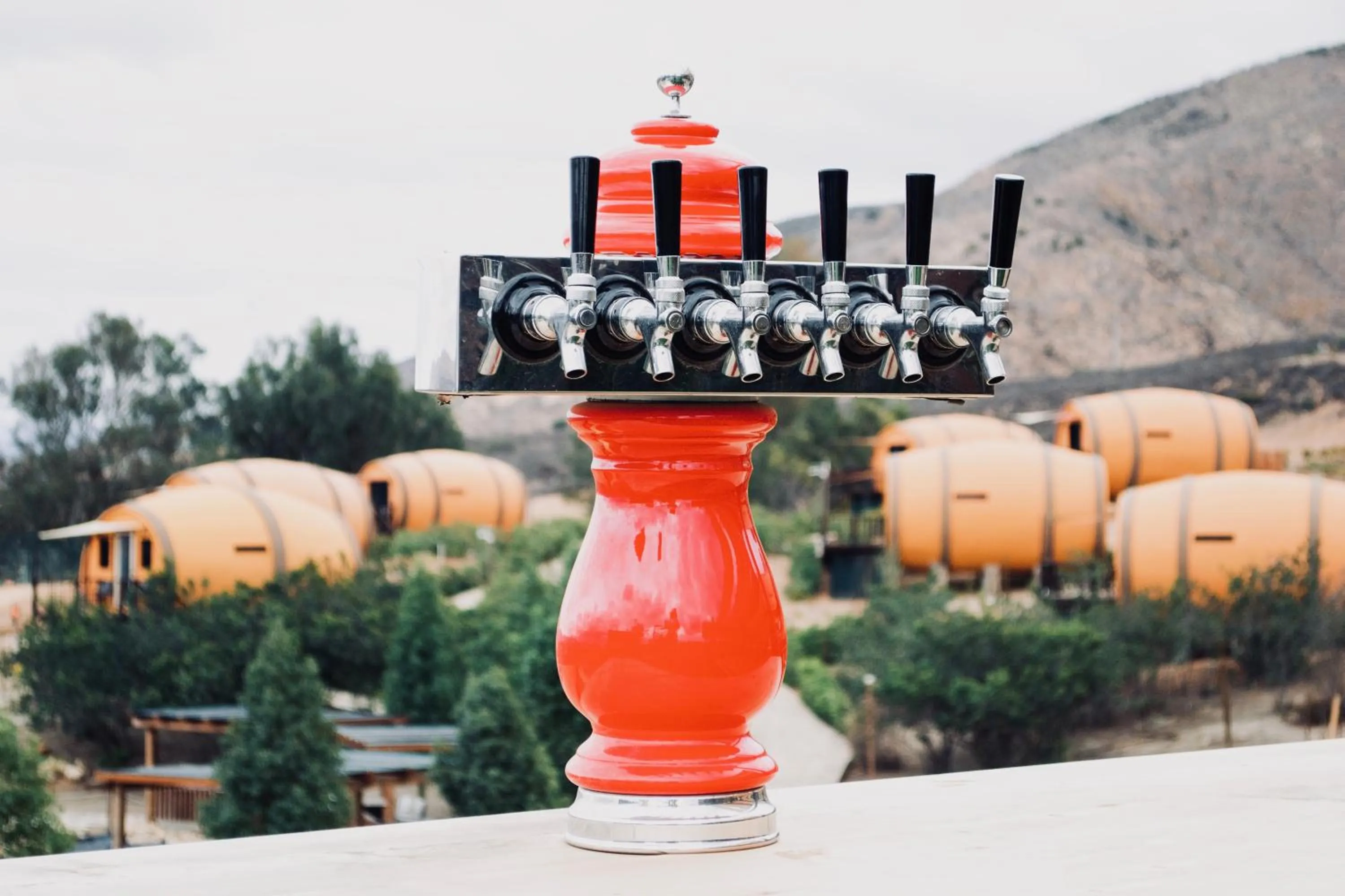 Alcoholic drinks in Finca el Mirador