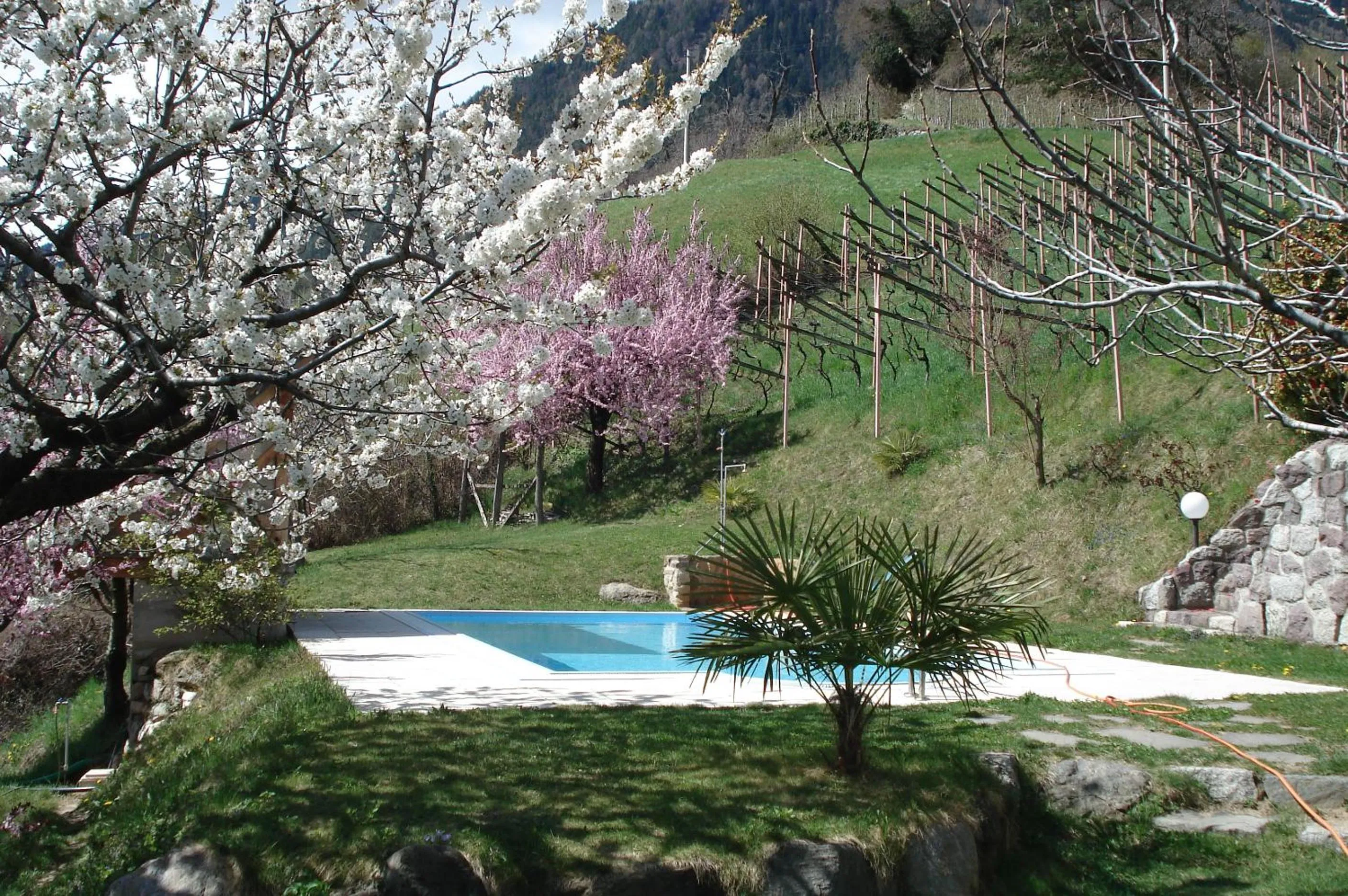 Swimming pool in Aparthotel Abiná Lana Höhe