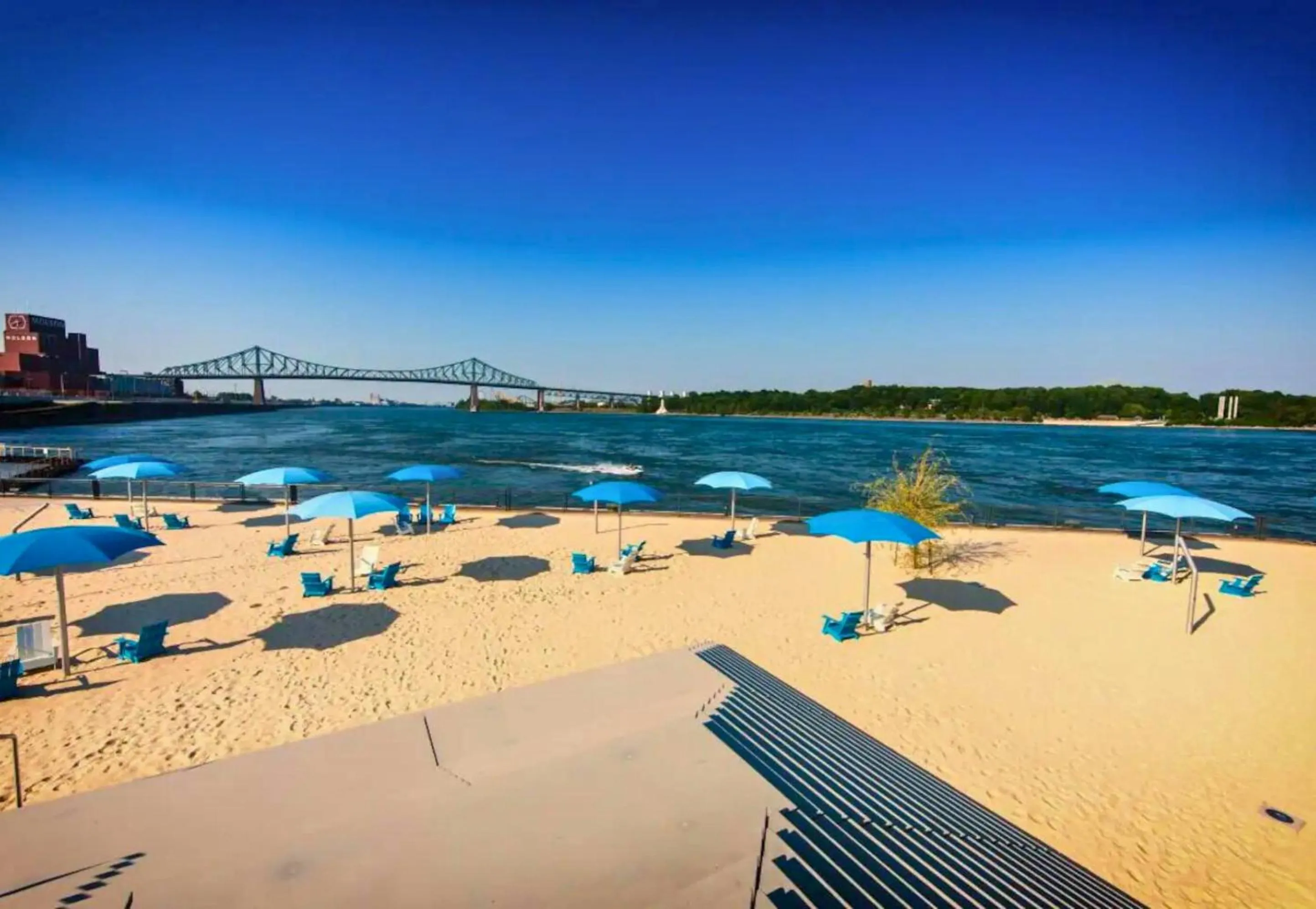 Natural landscape in LiV MTL Avenue