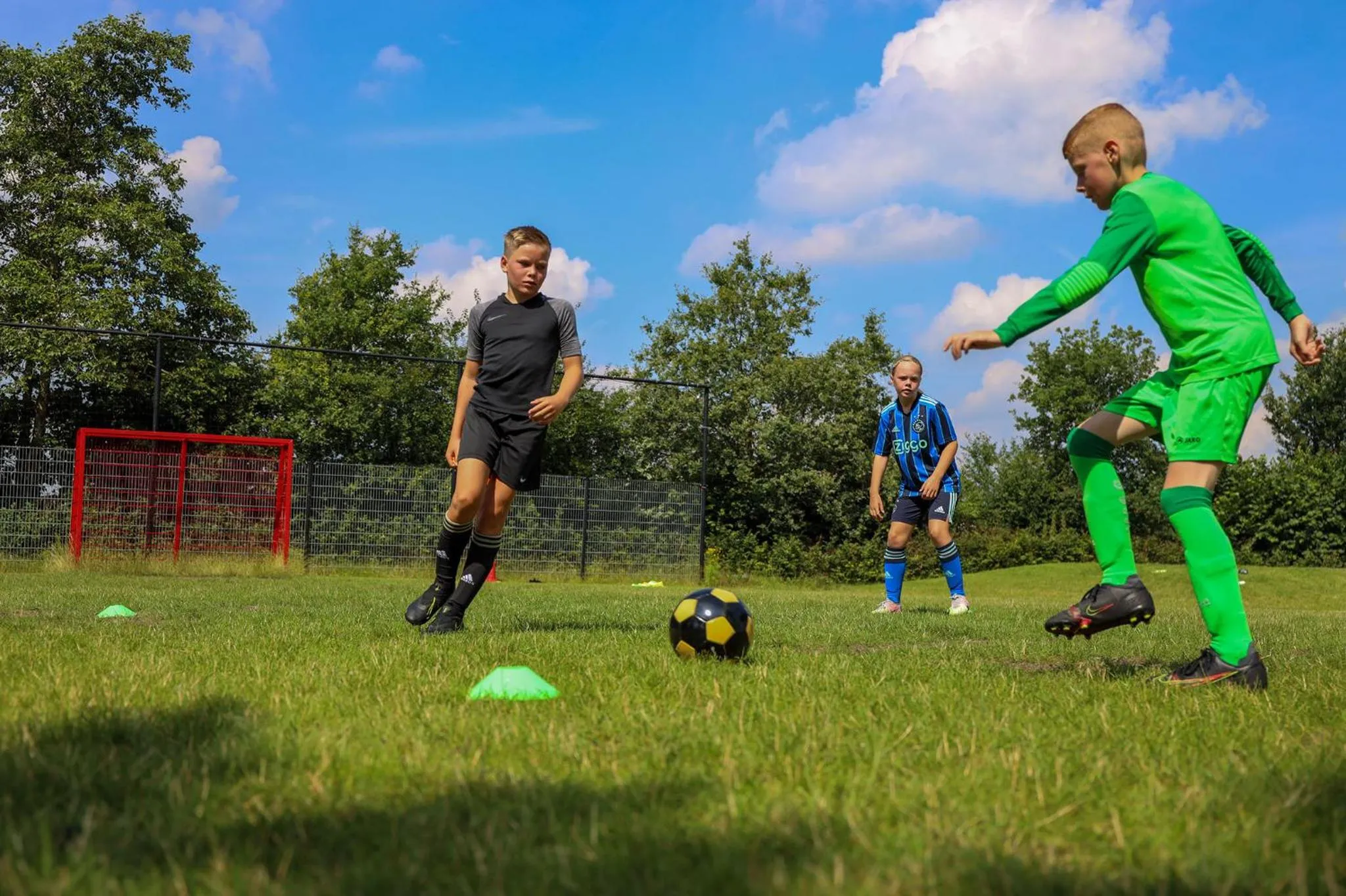 Sports in Recreatiepark de Boshoek