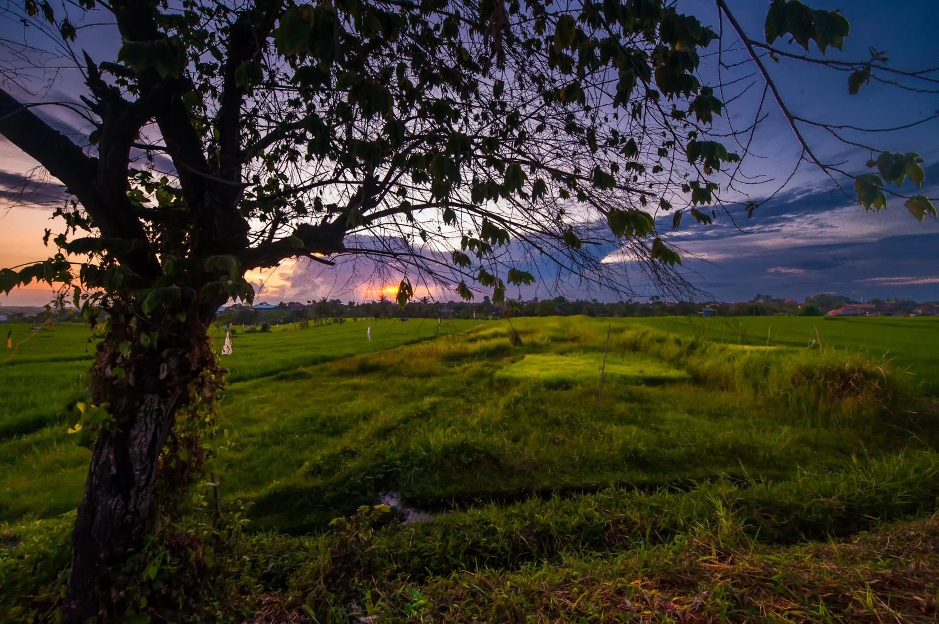 Off site in The Lebak Canggu