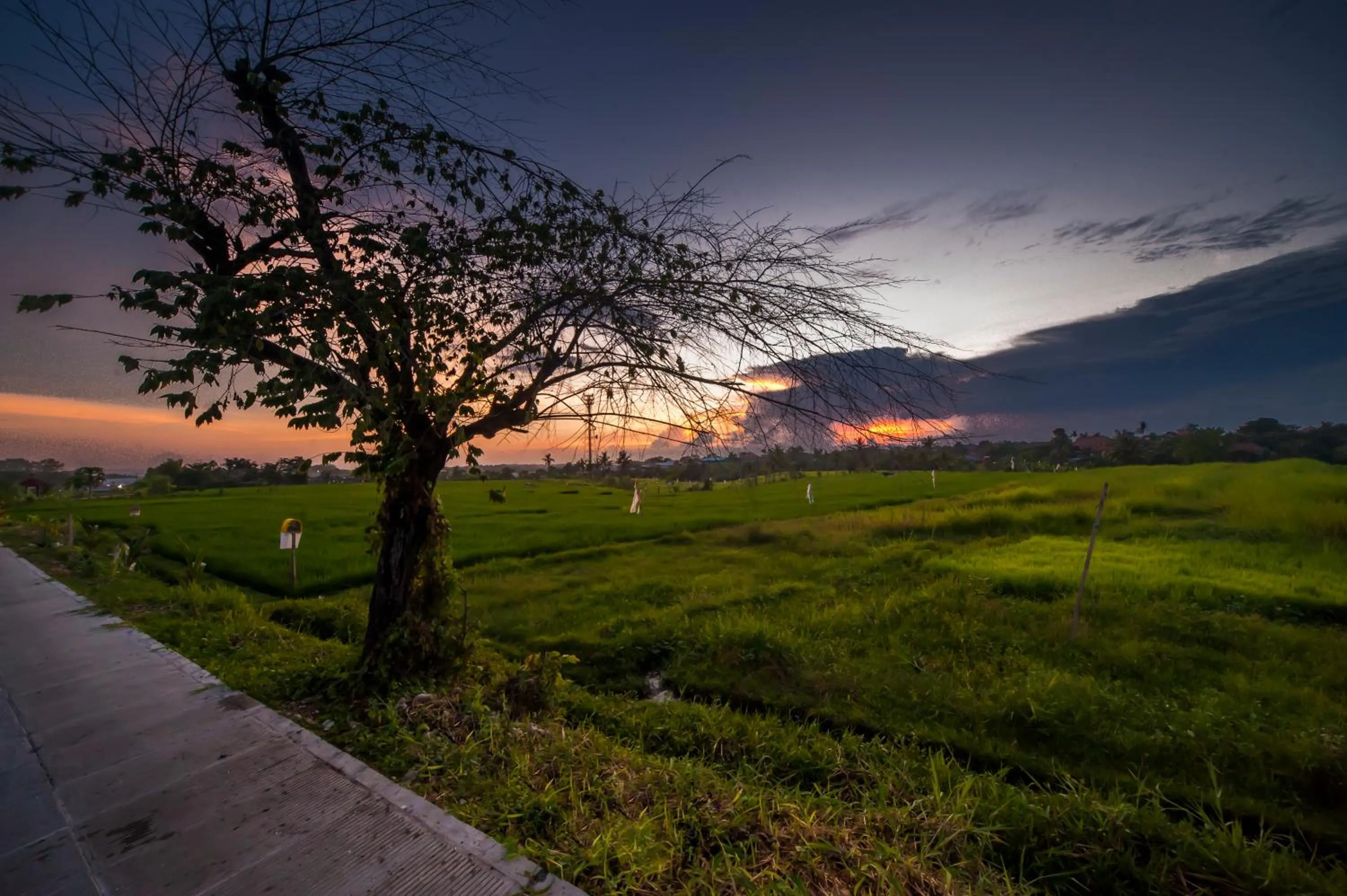 Off site in The Lebak Canggu