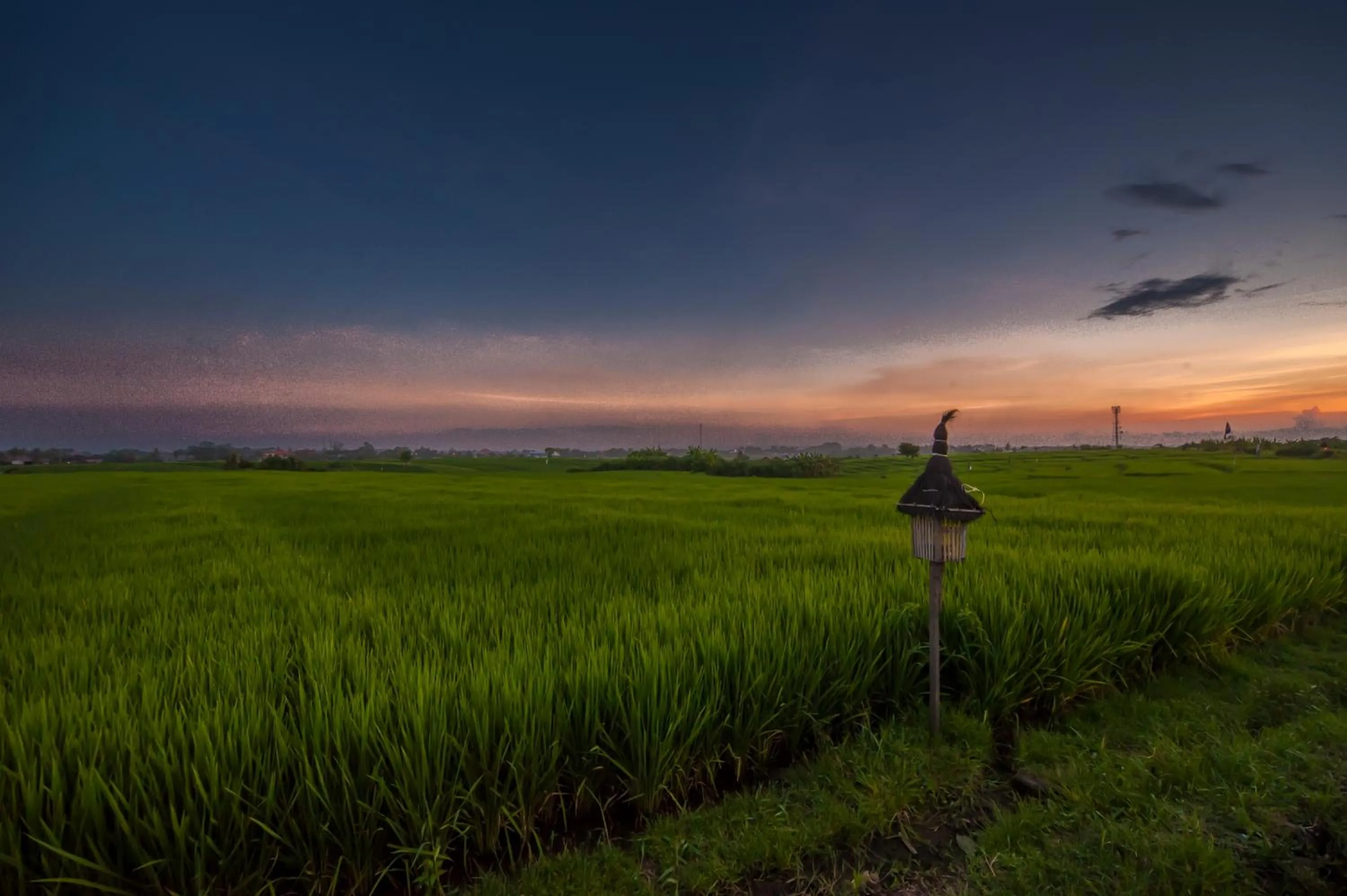 Off site in The Lebak Canggu