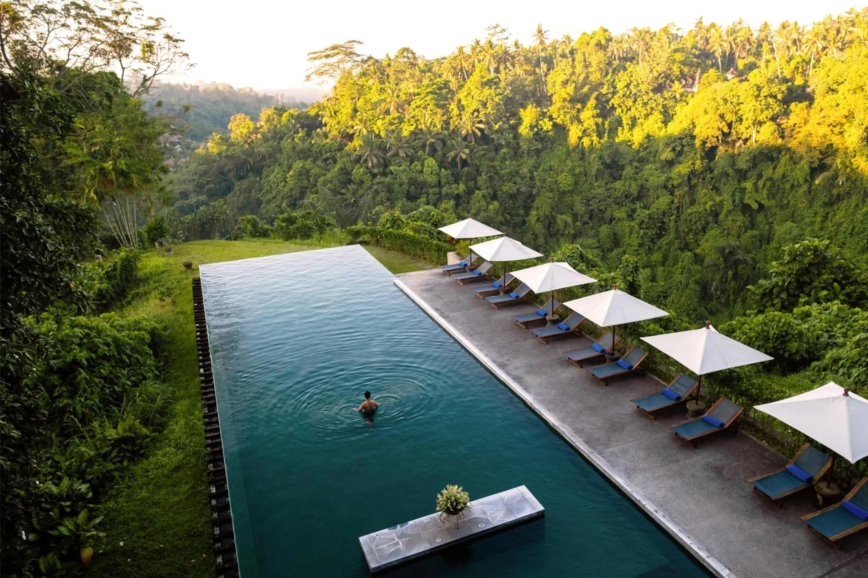 Swimming pool in Alila Ubud