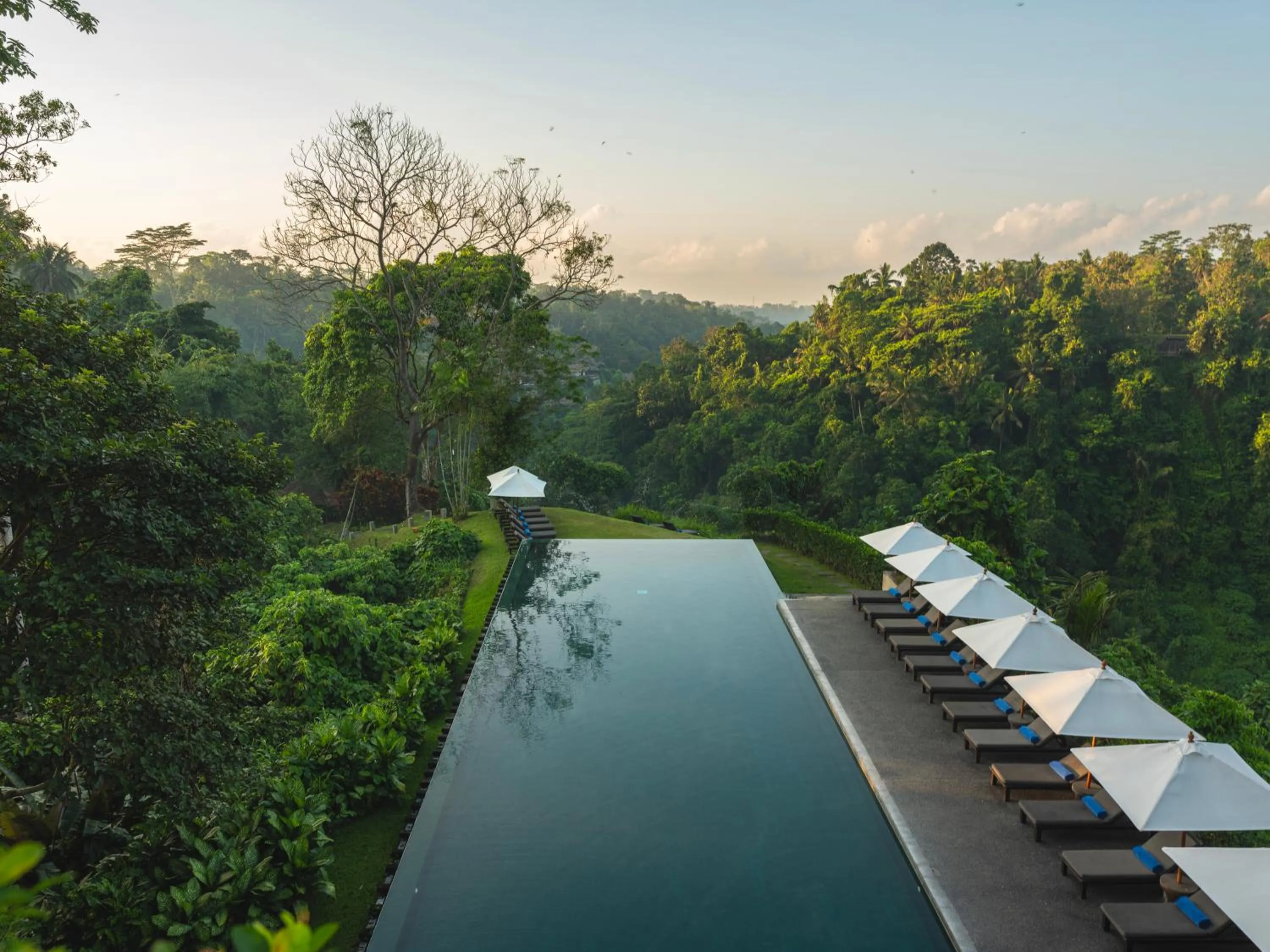 Pool view in Alila Ubud