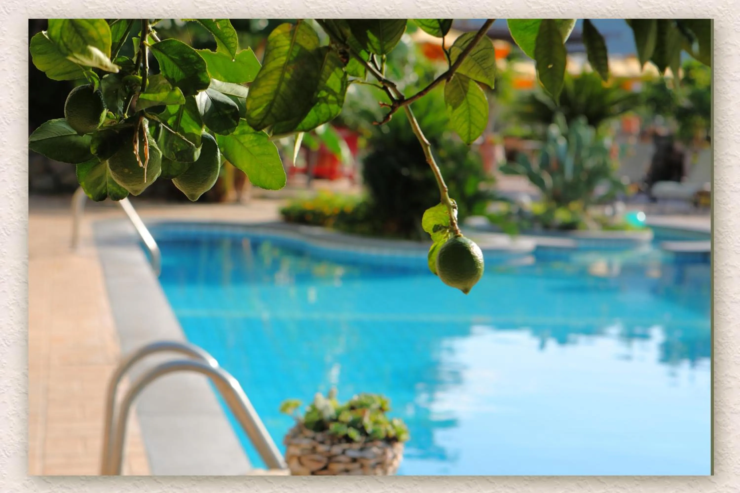 Day in Villa Ketty Resort