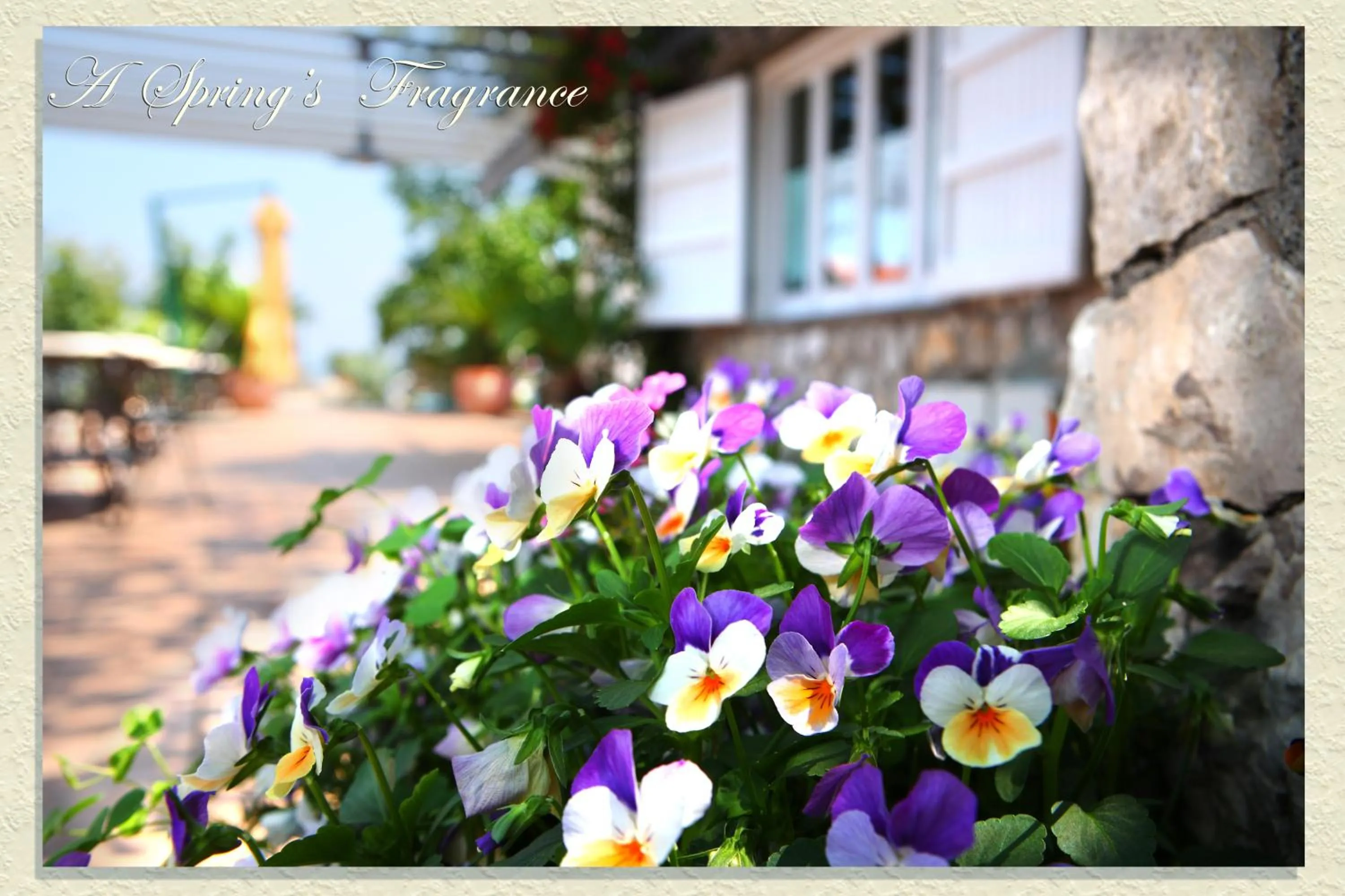 Spring in Villa Ketty Resort